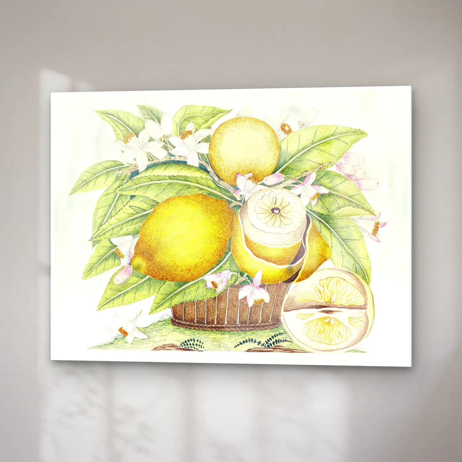 Botanik İllüstrasyon Limonlar No. 12 cam tablo — sağ açıdan görünüm