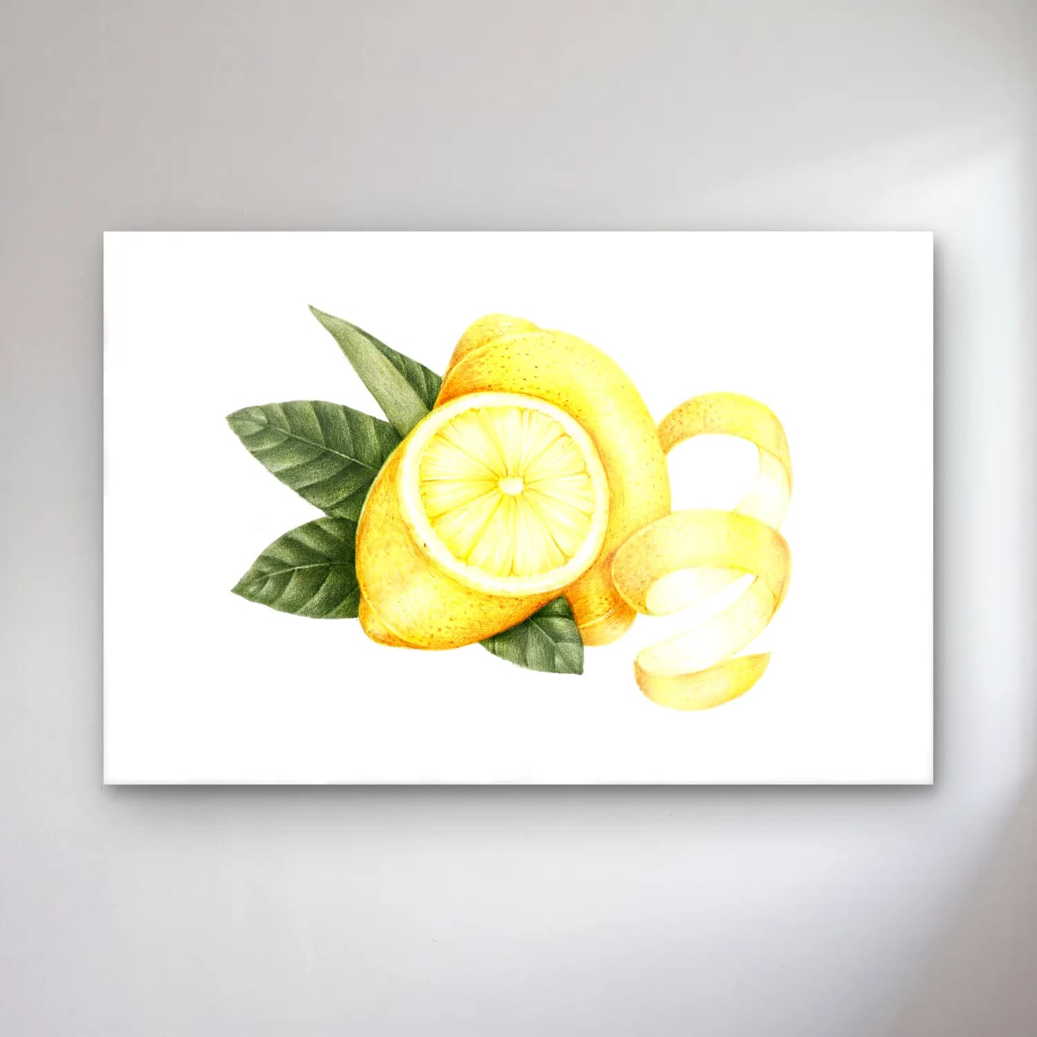 Botanik İllüstrasyon Limon Dalı No. 13 cam tablo — Botanik İllüstrasyon Limon Dalı No. 13 — botanik i̇llüstrasyon limon dalı