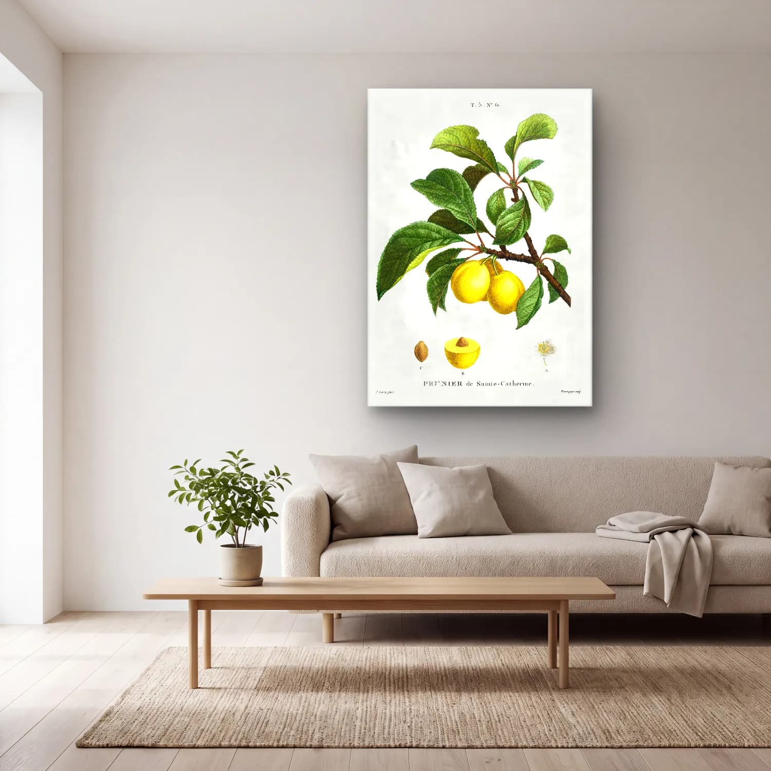 Botanik İllüstrasyon Limon Dalı No. 16 cam tablo — açık renk salonda