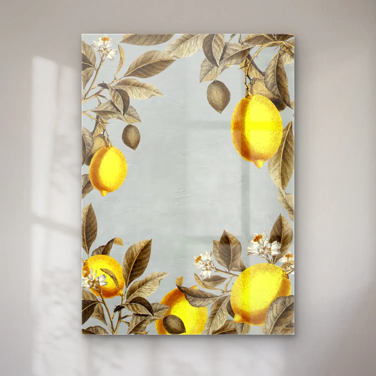 Botanik İllüstrasyon Limonlar No. 9 cam tablo — Botanik İllüstrasyon Limonlar No. 9 — botanik i̇llüstrasyon limonlar