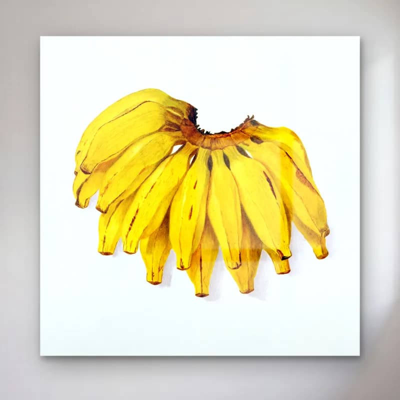 Botanik İllüstrasyon Meyveli Natürmort No. 39 cam tablo — Botanik İllüstrasyon Meyveli Natürmort No. 39 — botanik i̇llüstrasyon meyveli natürmort