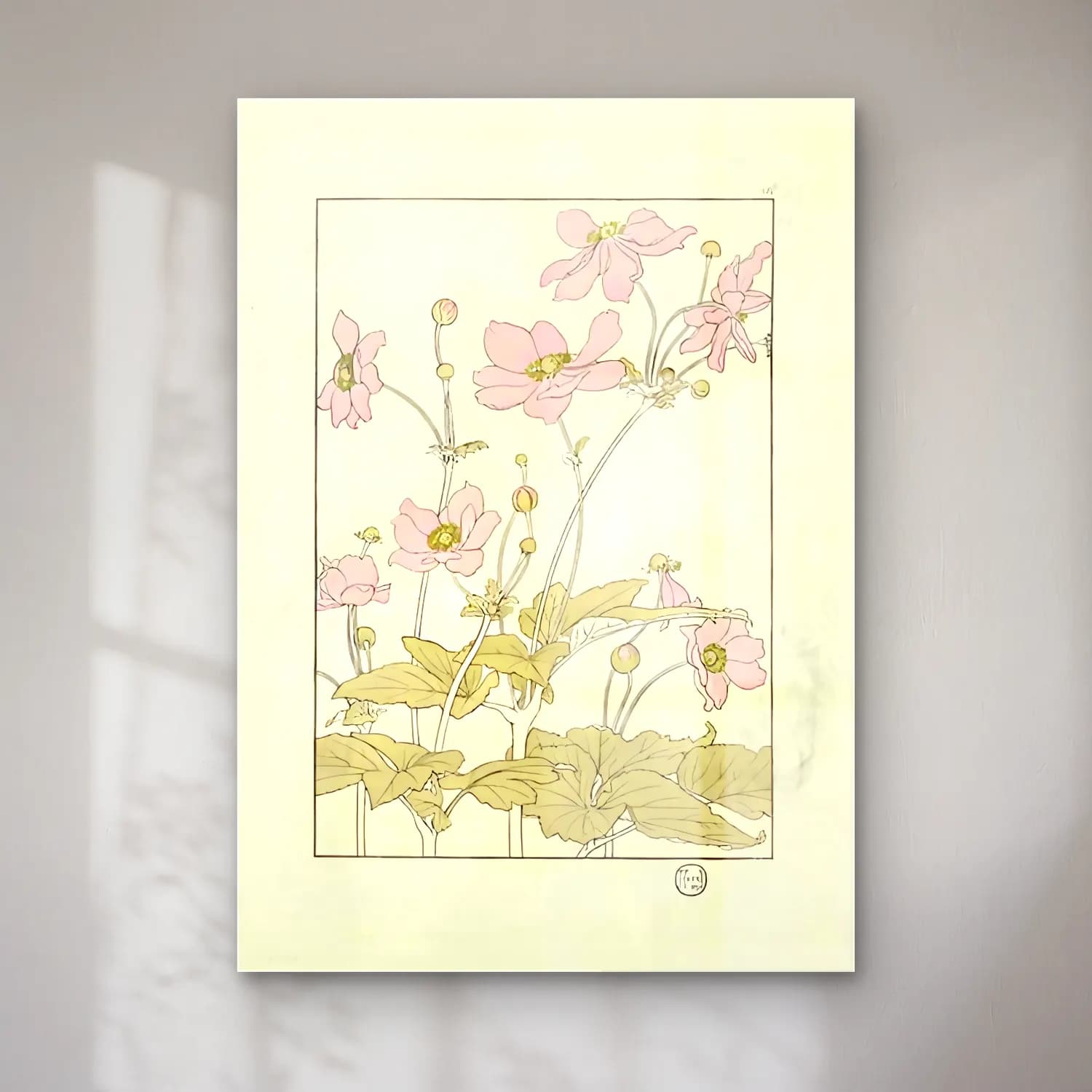 Botanik İllüstrasyon Lotus Çiçekleri No. 2 cam tablo — Botanik İllüstrasyon Lotus Çiçekleri No. 2 — botanik i̇llüstrasyon lotus çiçekleri
