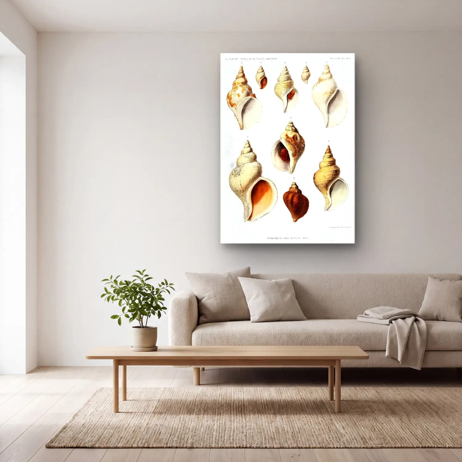 Vintage Deniz Kabukları No. 2 cam tablo — açık renk salonda