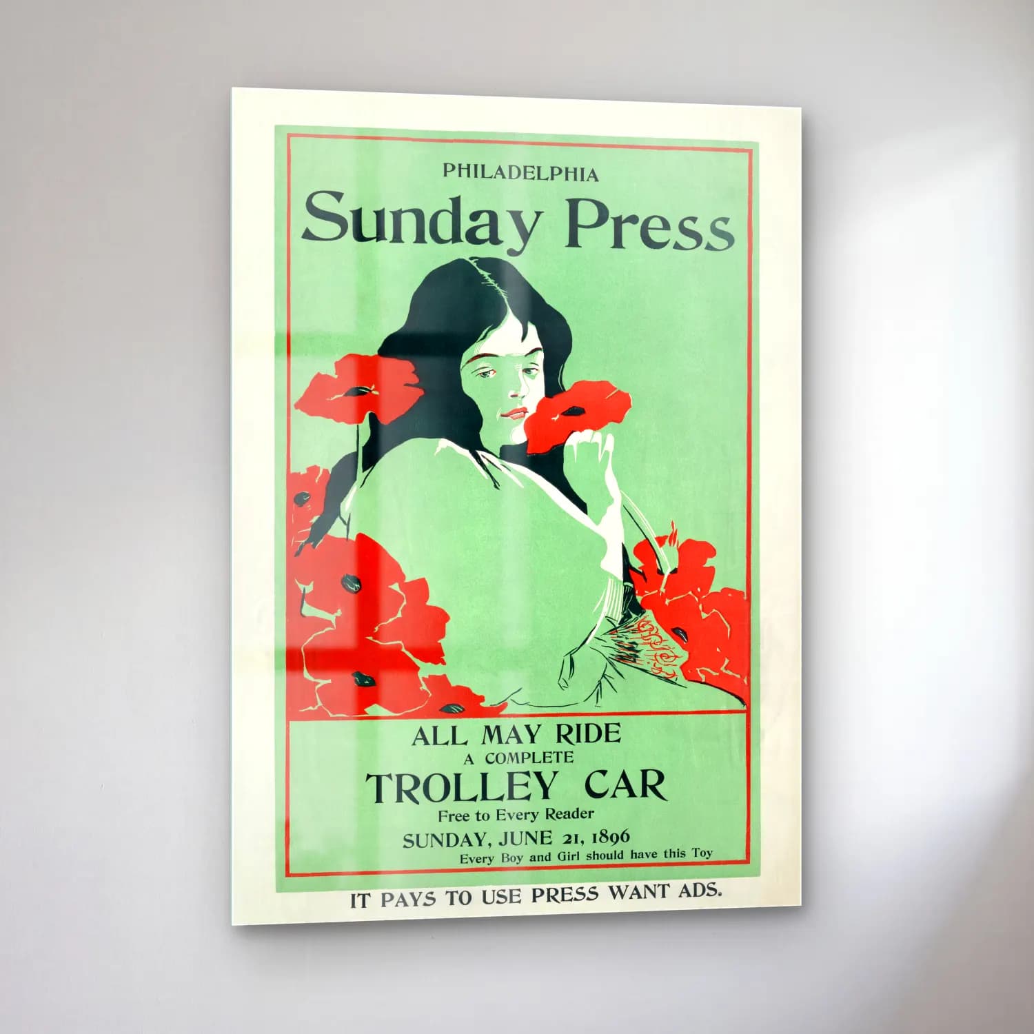 Vintage Poster Gelincikler cam tablo — sol açıdan görünüm