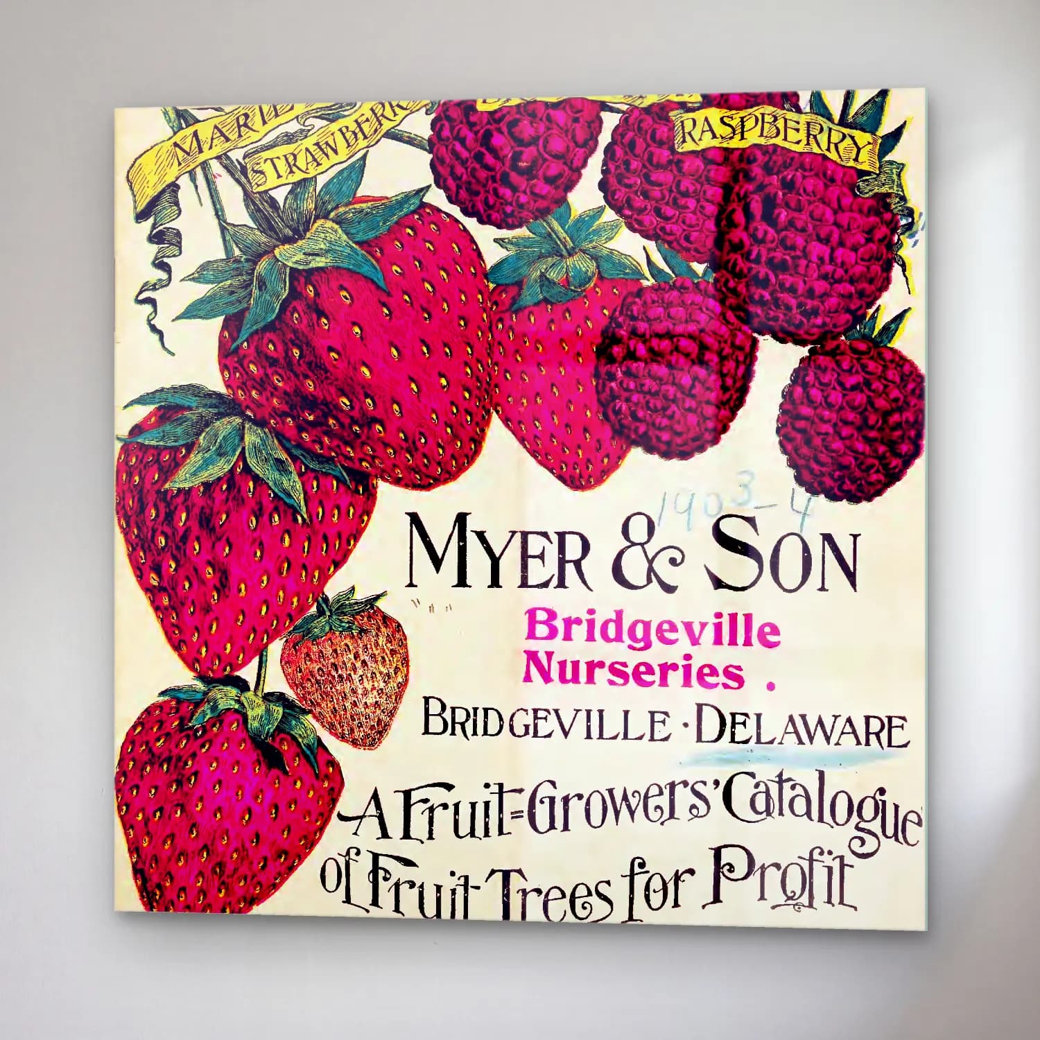 Vintage Poster Çilekler cam tablo — sağ açıdan görünüm