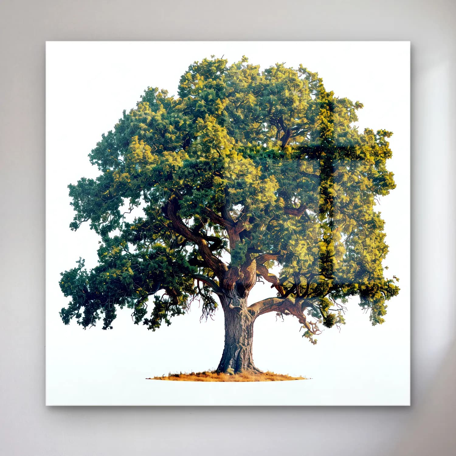 Botanik İllüstrasyon Yalnız Ağaç No. 7 cam tablo — Botanik İllüstrasyon Yalnız Ağaç No. 7 — botanik i̇llüstrasyon yalnız ağaç