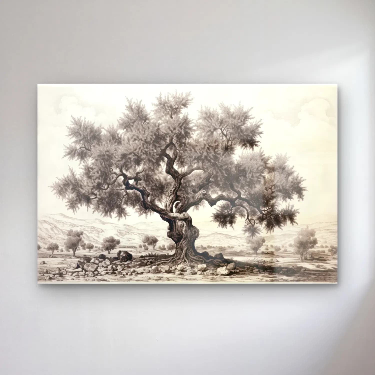 Siyah Beyaz Zeytin Dalı cam tablo — Siyah Beyaz Zeytin Dalı — siyah beyaz zeytin dalı