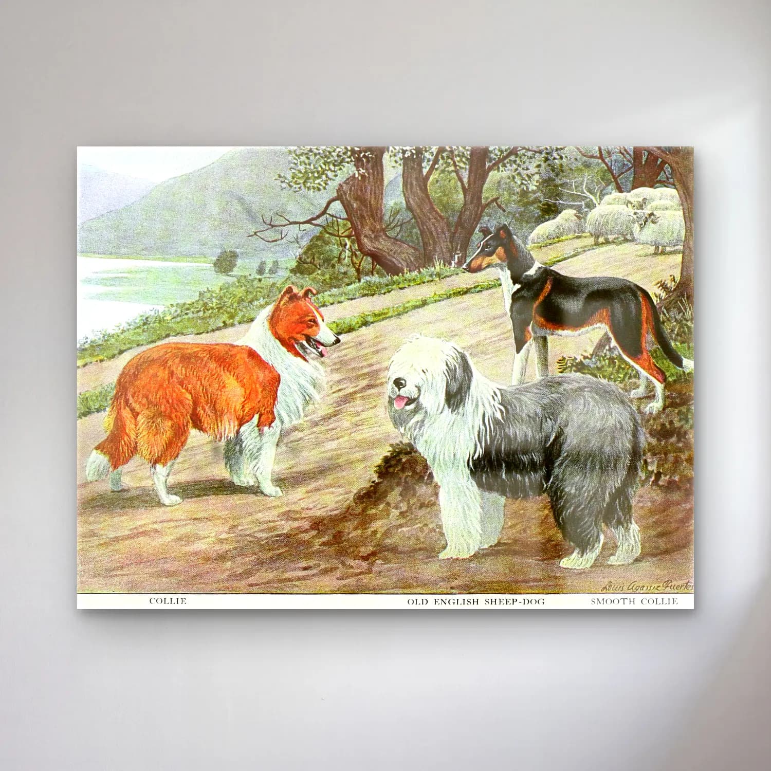 Vintage Köpek No. 3 cam tablo — Vintage Köpek No. 3 — vintage köpek