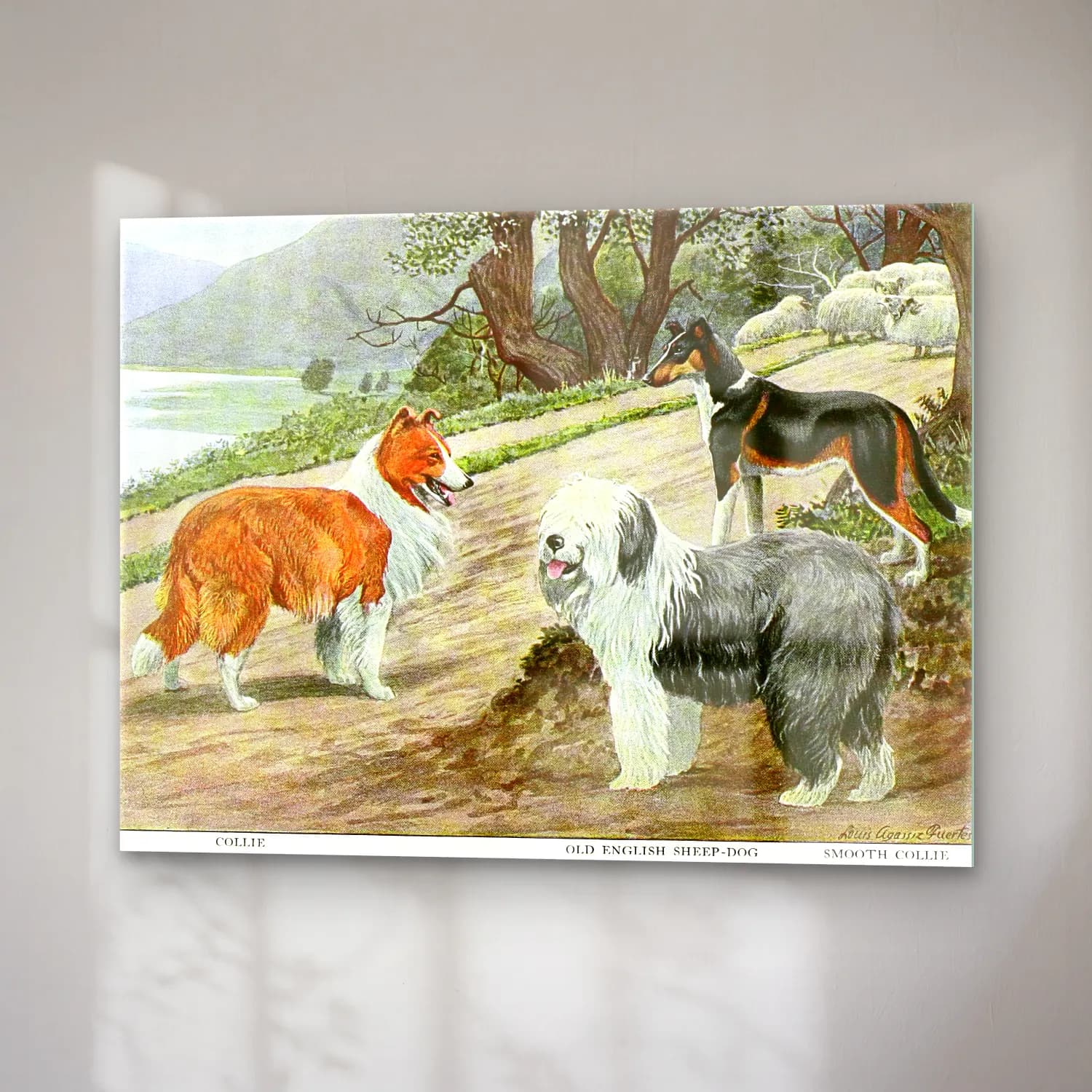 Vintage Köpek No. 3 cam tablo — sağ açıdan görünüm