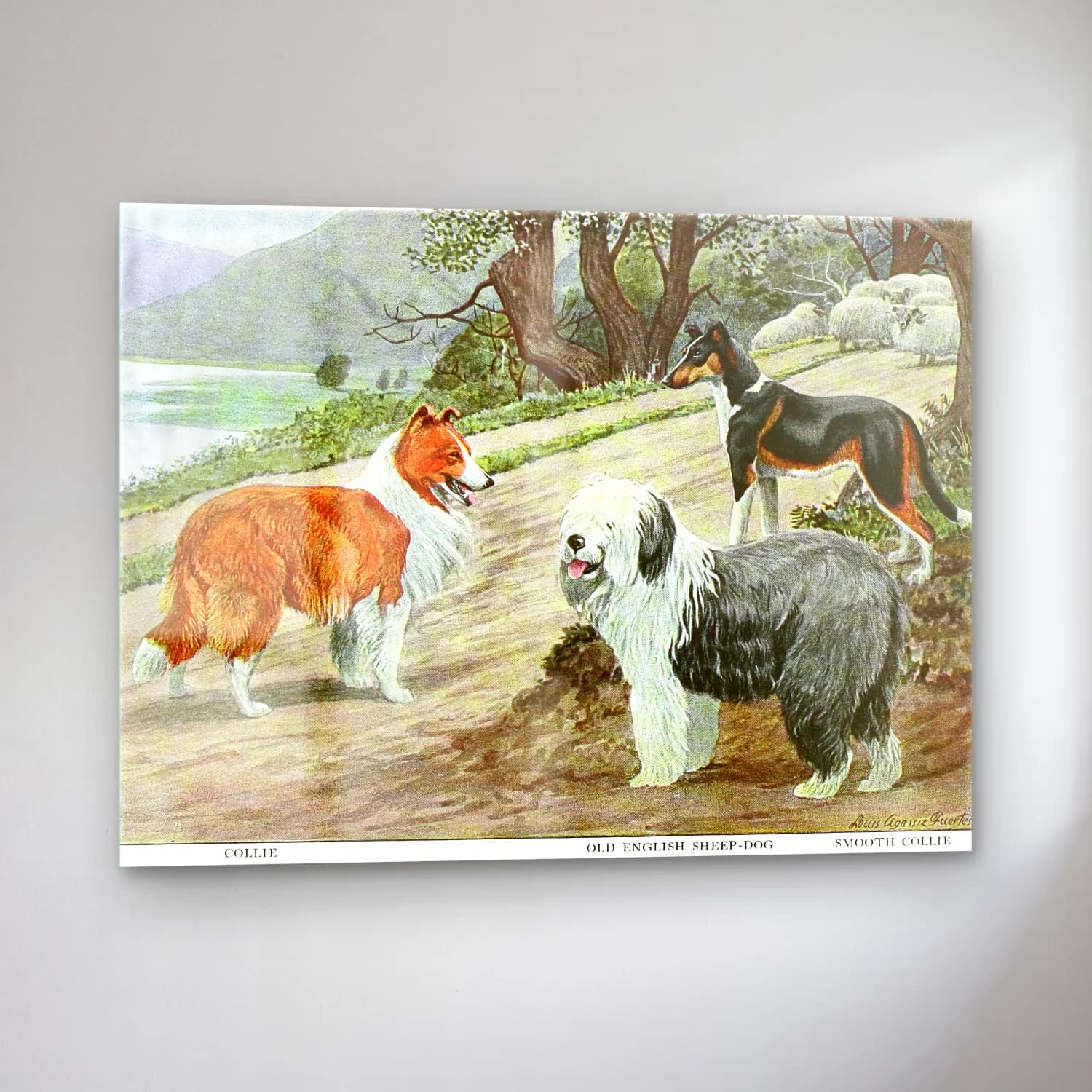 Vintage Köpek No. 3 cam tablo — sol açıdan görünüm