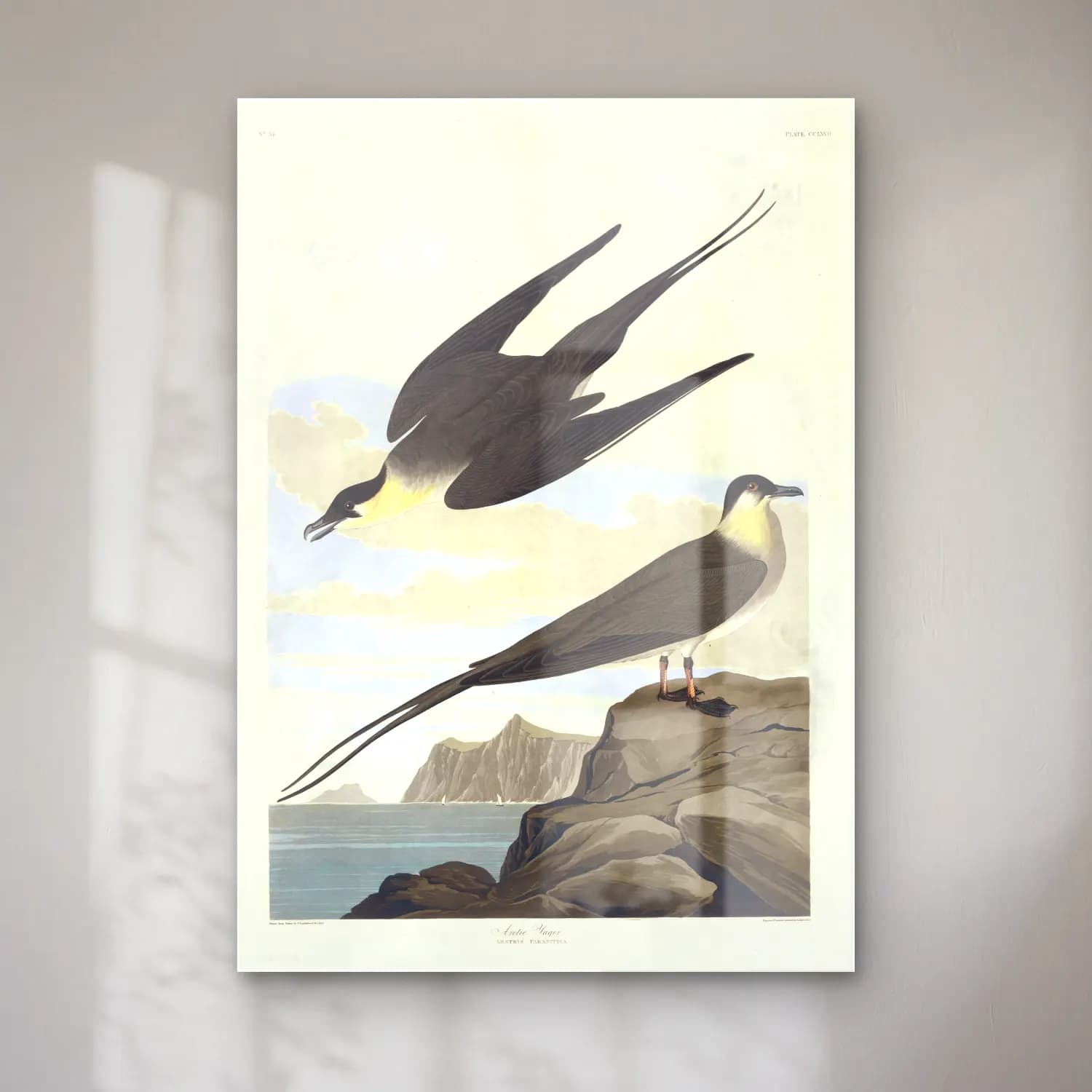 Vintage Kartal No. 2 cam tablo — Vintage Kartal No. 2 — vintage kartal