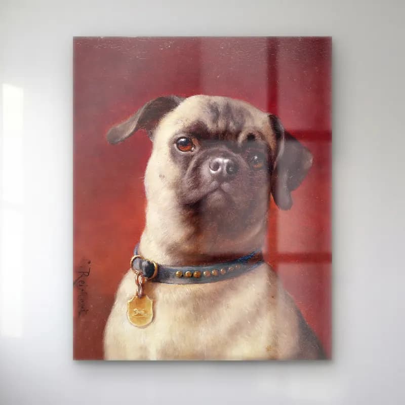 Carl Reichert – Mops cam tablo — Carl Reichert – Mops — yağlı boya köpek