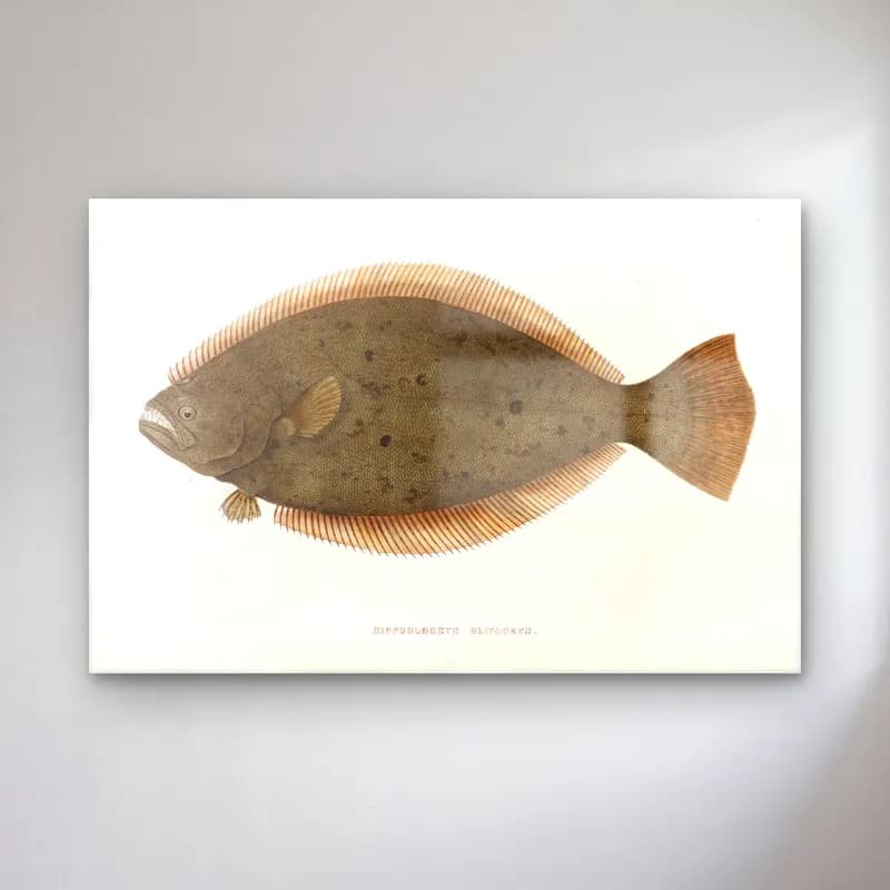Vintage Balık No. 5 cam tablo — Vintage Balık No. 5 — vintage balık