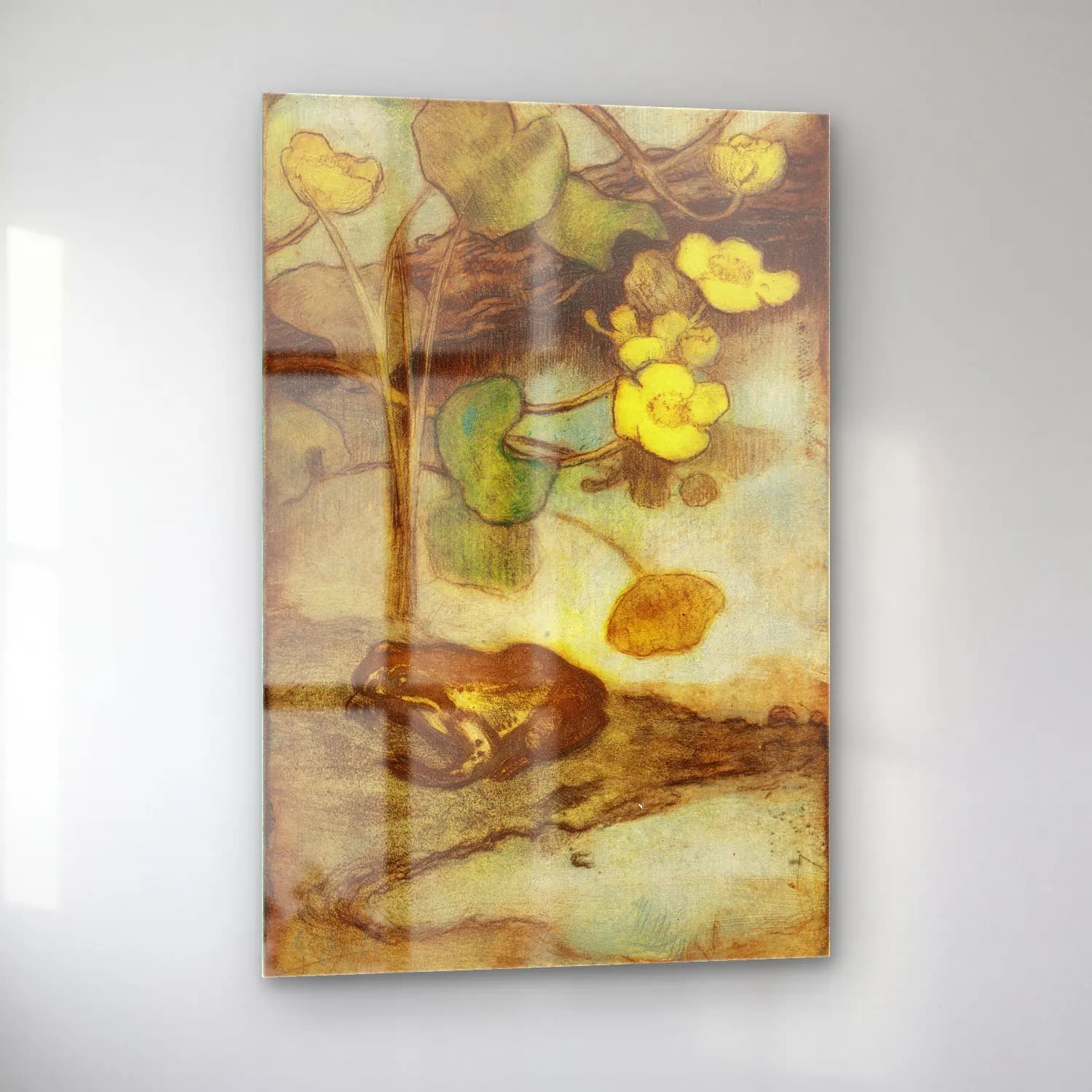 Botanik İllüstrasyon Kurbağa cam tablo — sol açıdan görünüm