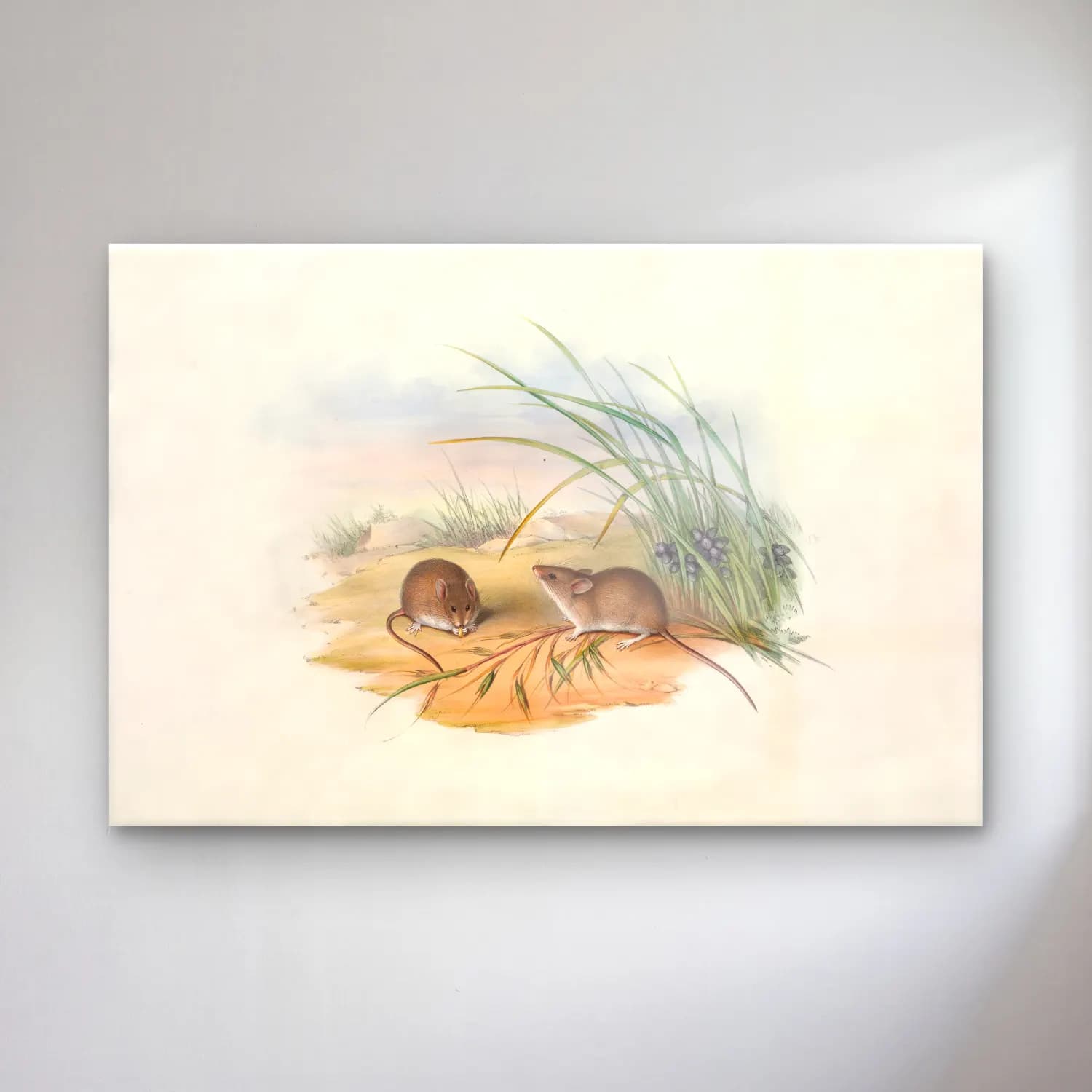 Vintage Tavşan – Pastel Tonlar cam tablo — Vintage Tavşan – Pastel Tonlar — vintage tavşan