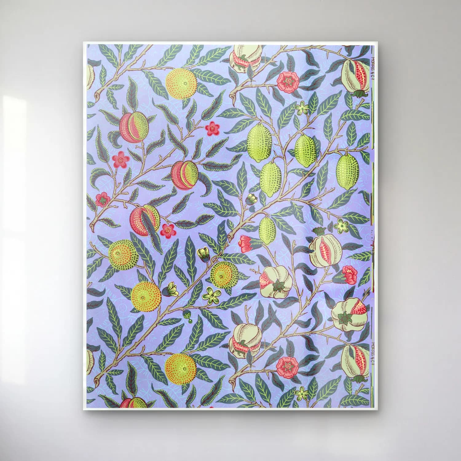 Botanik İllüstrasyon Çiçek Deseni No. 66 cam tablo — Botanik İllüstrasyon Çiçek Deseni No. 66 — botanik i̇llüstrasyon çiçek deseni