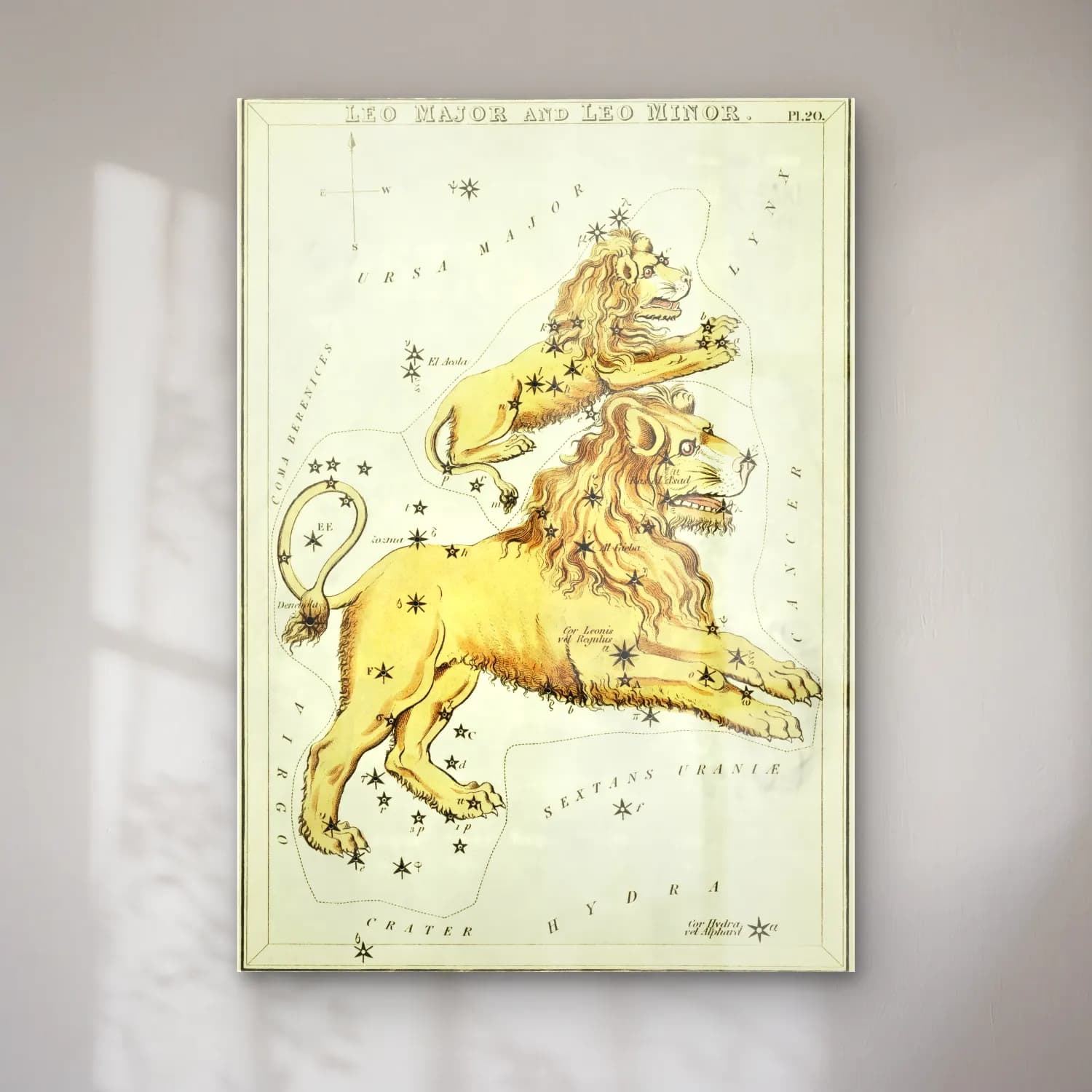 Vintage Aslan No. 2 cam tablo — Vintage Aslan No. 2 — vintage aslan