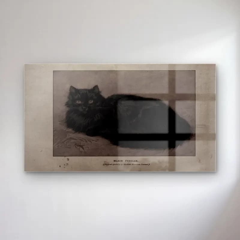 Vintage Kedi No. 13 cam tablo — Vintage Kedi No. 13 — vintage kedi
