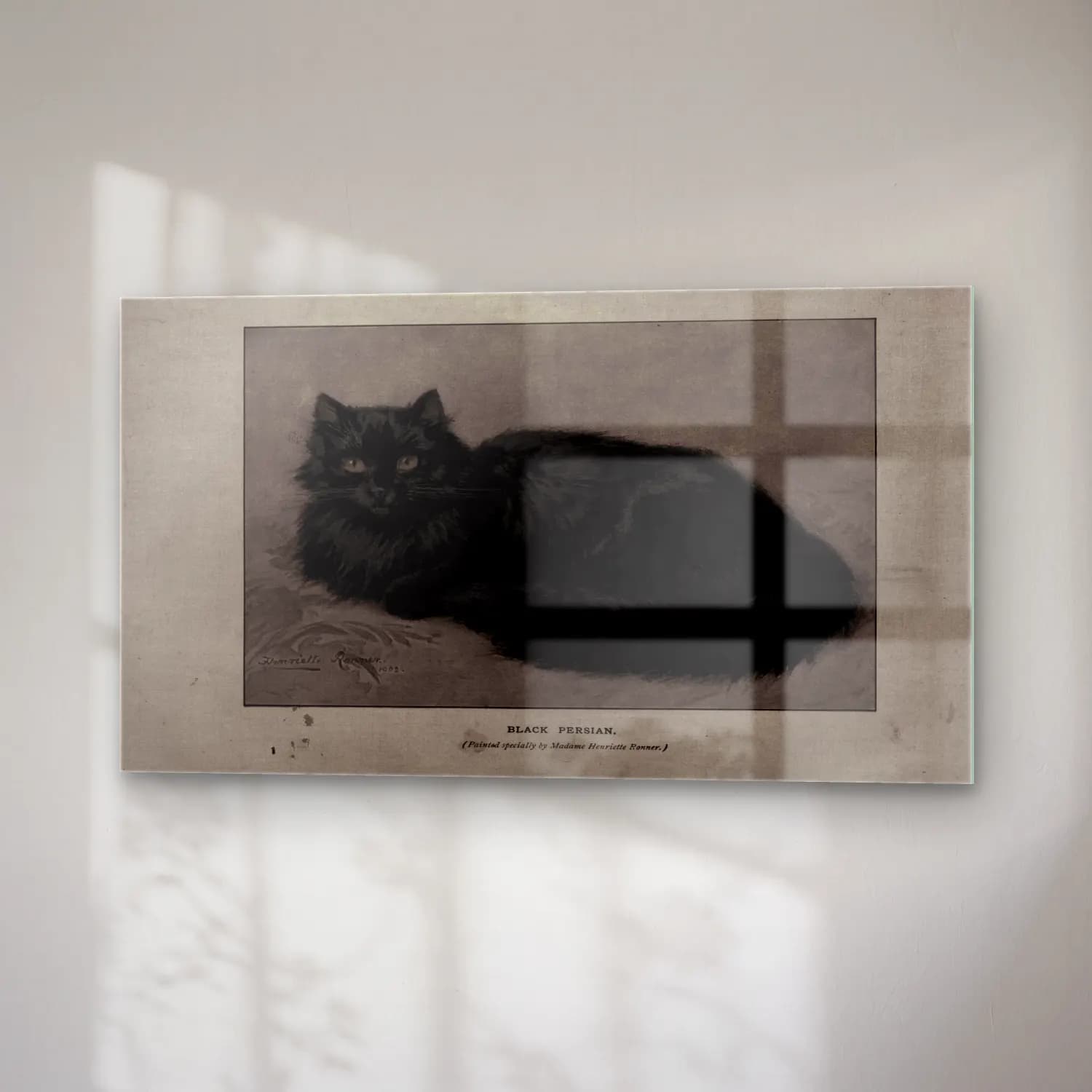 Vintage Kedi No. 13 cam tablo — sağ açıdan görünüm