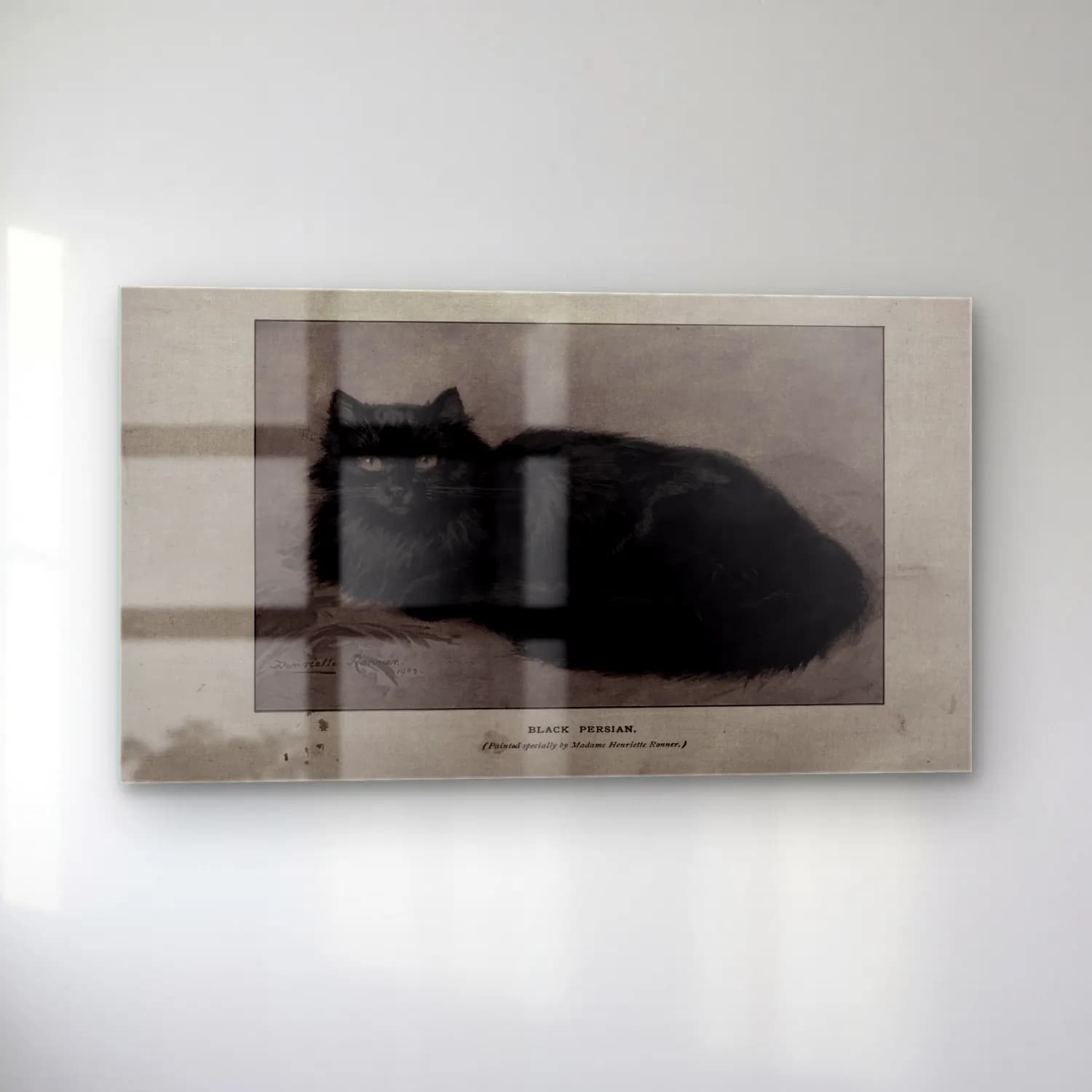 Vintage Kedi No. 13 cam tablo — sol açıdan görünüm