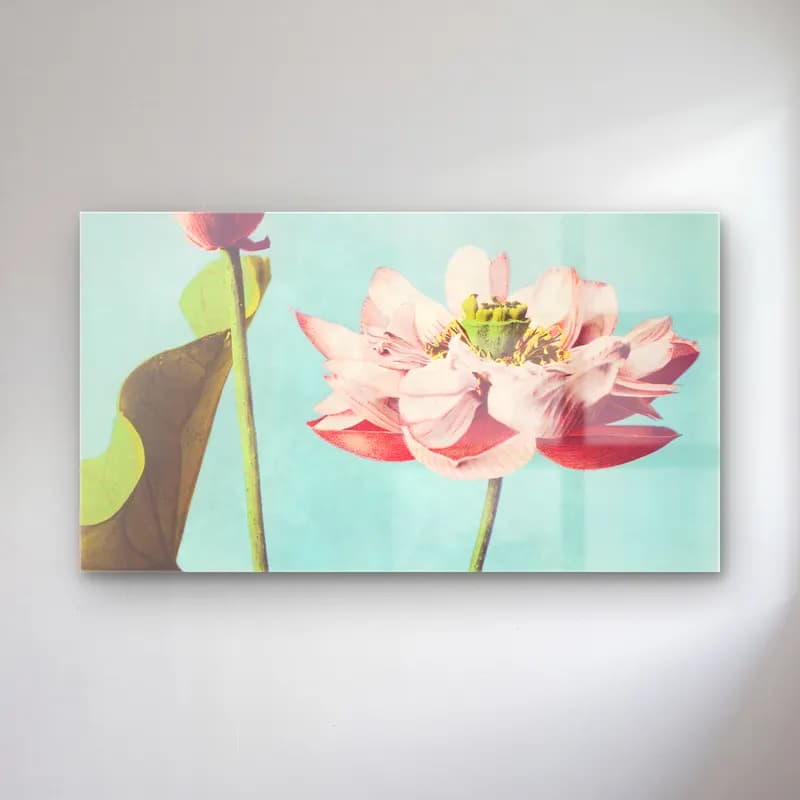 Pastel Lotus Çiçekleri No. 5 cam tablo — Pastel Lotus Çiçekleri No. 5 — pastel lotus çiçekleri