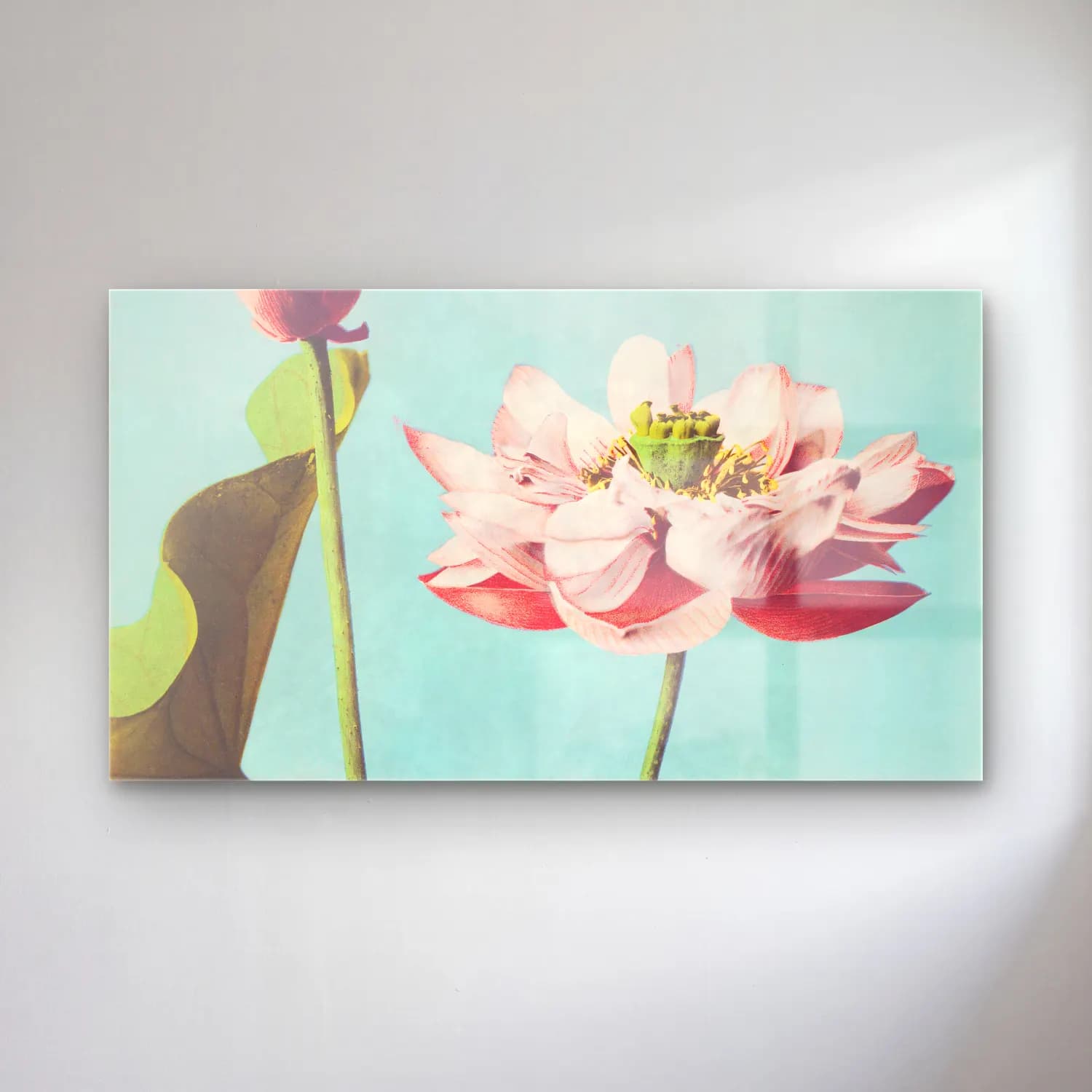 Pastel Lotus Çiçekleri No. 5 cam tablo — Pastel Lotus Çiçekleri No. 5 — pastel lotus çiçekleri