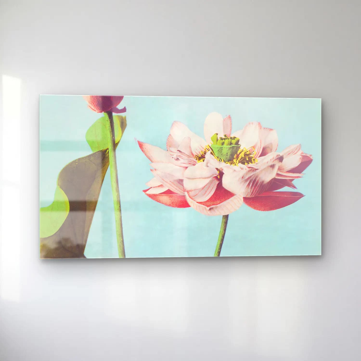 Pastel Lotus Çiçekleri No. 5 cam tablo — sol açıdan görünüm
