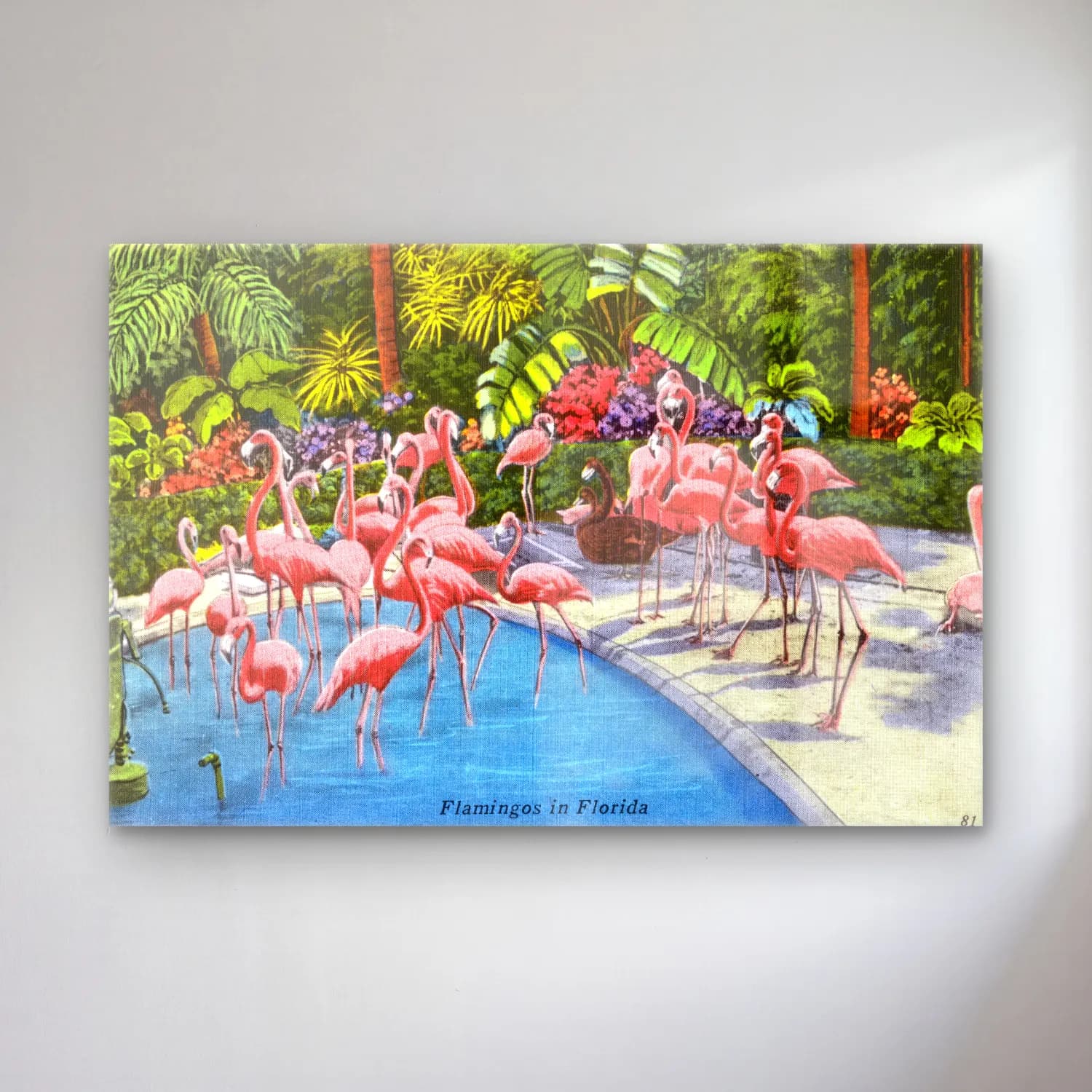 Vintage Flamingo No. 3 cam tablo — Vintage Flamingo No. 3 — vintage flamingo