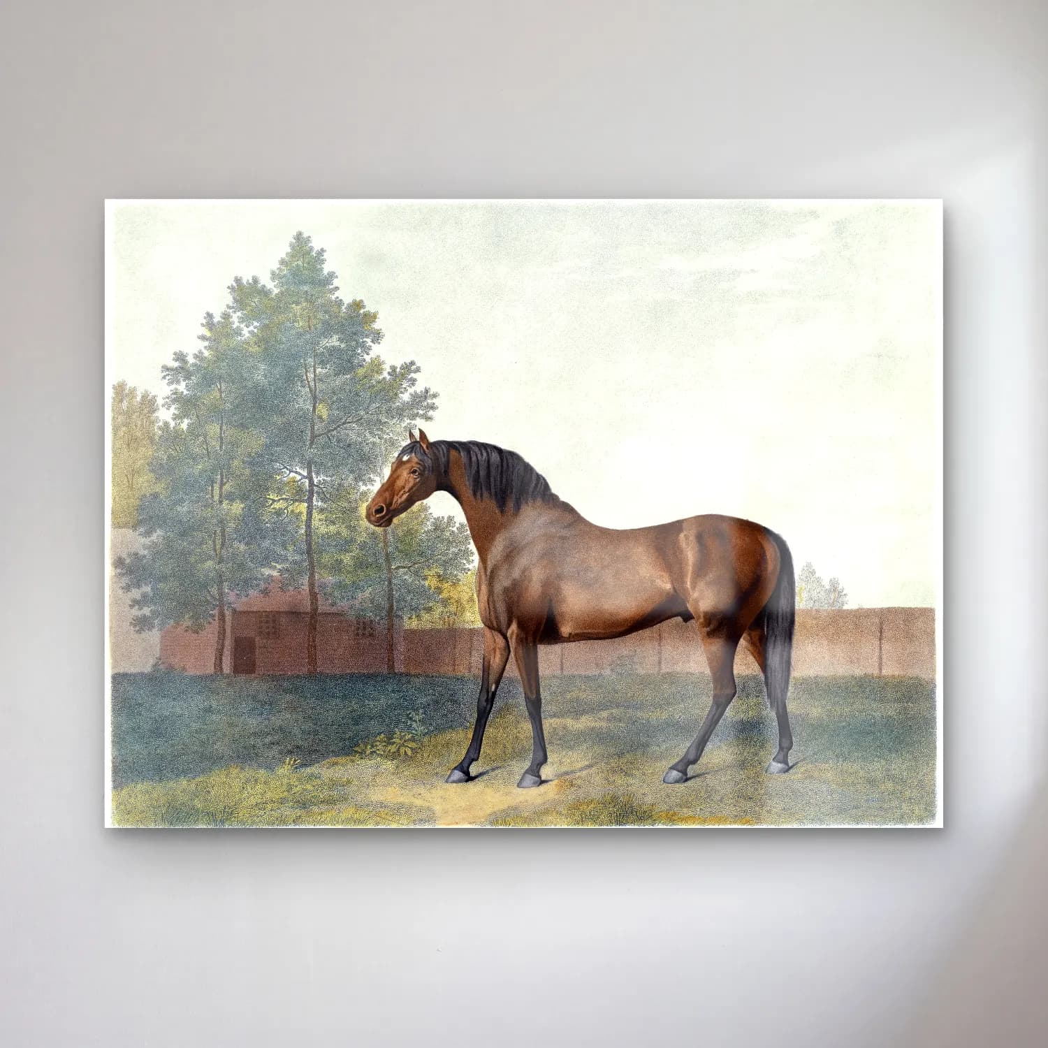 George Stubbs – Anvil cam tablo — George Stubbs – Anvil — vintage at