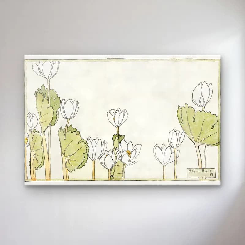 Hannah Borger Overbeck – Blood Root – Bej Tonlar cam tablo — Hannah Borger Overbeck – Blood Root – Bej Tonlar — botanik i̇llüstrasyon lotus çiçekleri