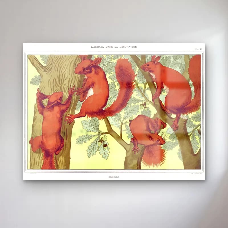 Maurice Pillard Verneuil – Écureuils from L animal dans la décoration illustrated cam tablo — Maurice Pillard Verneuil – Écureuils from L animal dans la décoration illustrated — vintage i̇ncirler