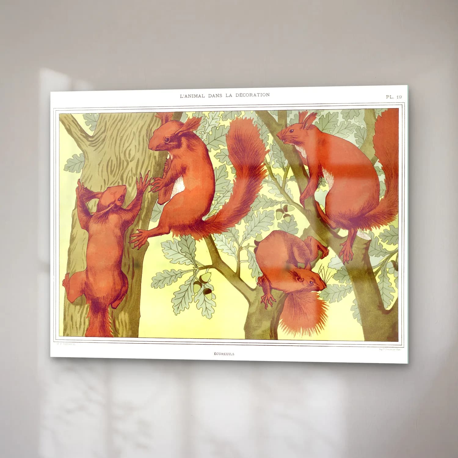 Maurice Pillard Verneuil – Écureuils from L animal dans la décoration illustrated cam tablo — sağ açıdan görünüm