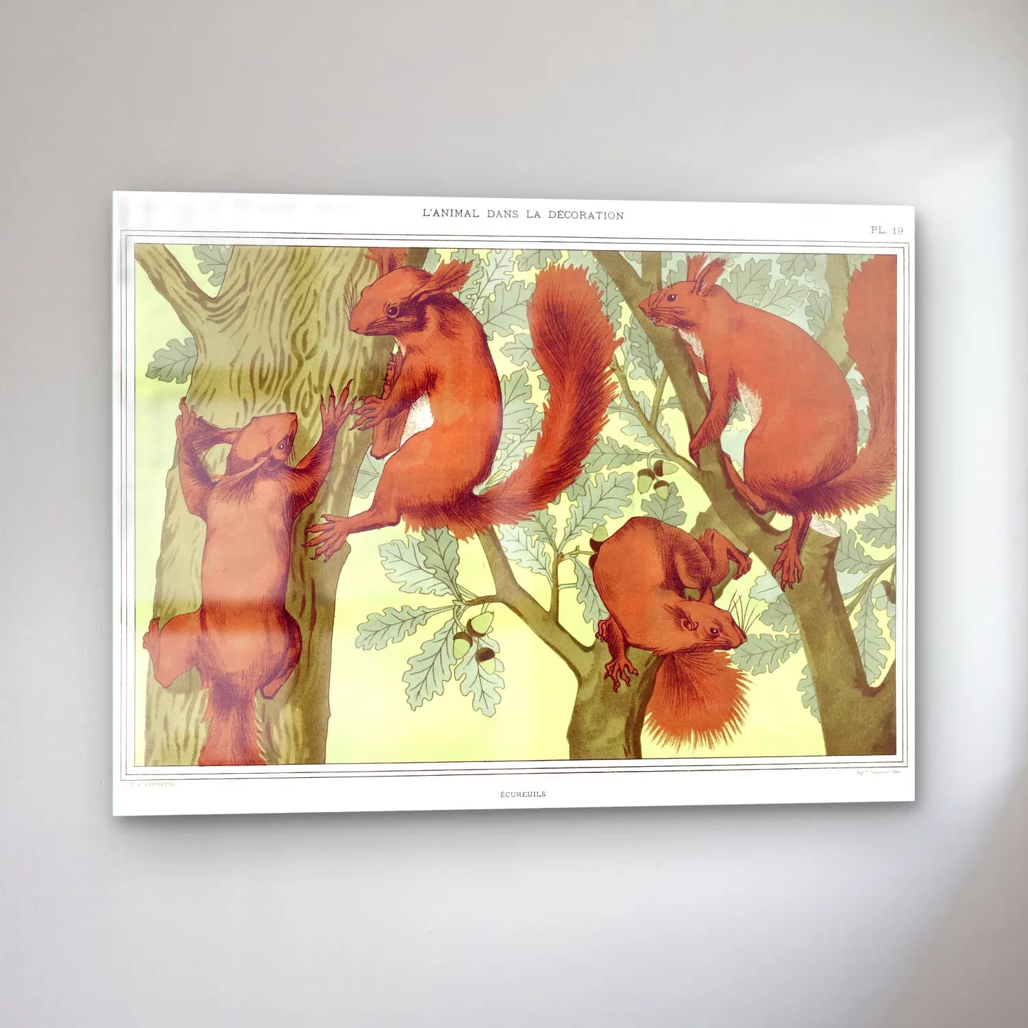 Maurice Pillard Verneuil – Écureuils from L animal dans la décoration illustrated cam tablo — sol açıdan görünüm