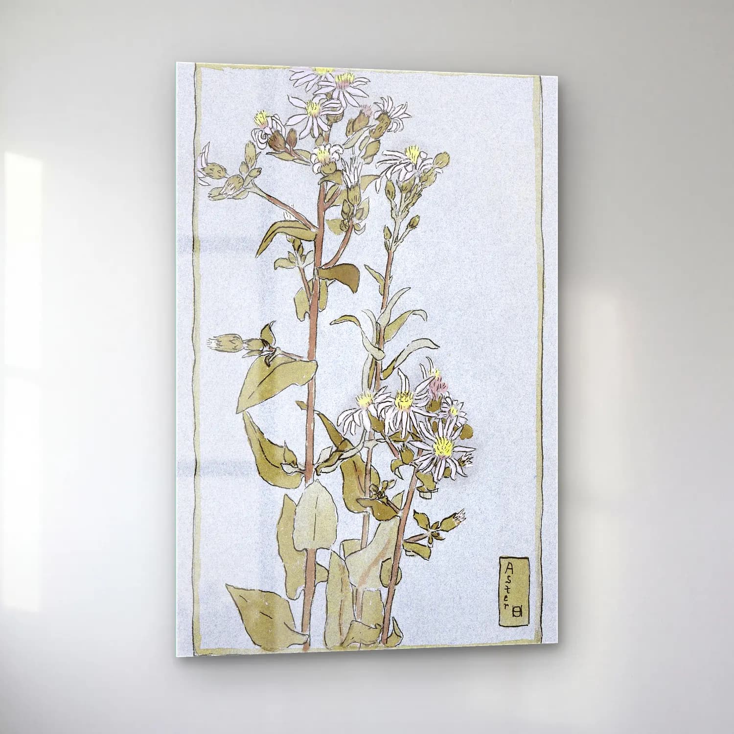 Hannah Borger Overbeck – Aster on Green Ground cam tablo — sol açıdan görünüm