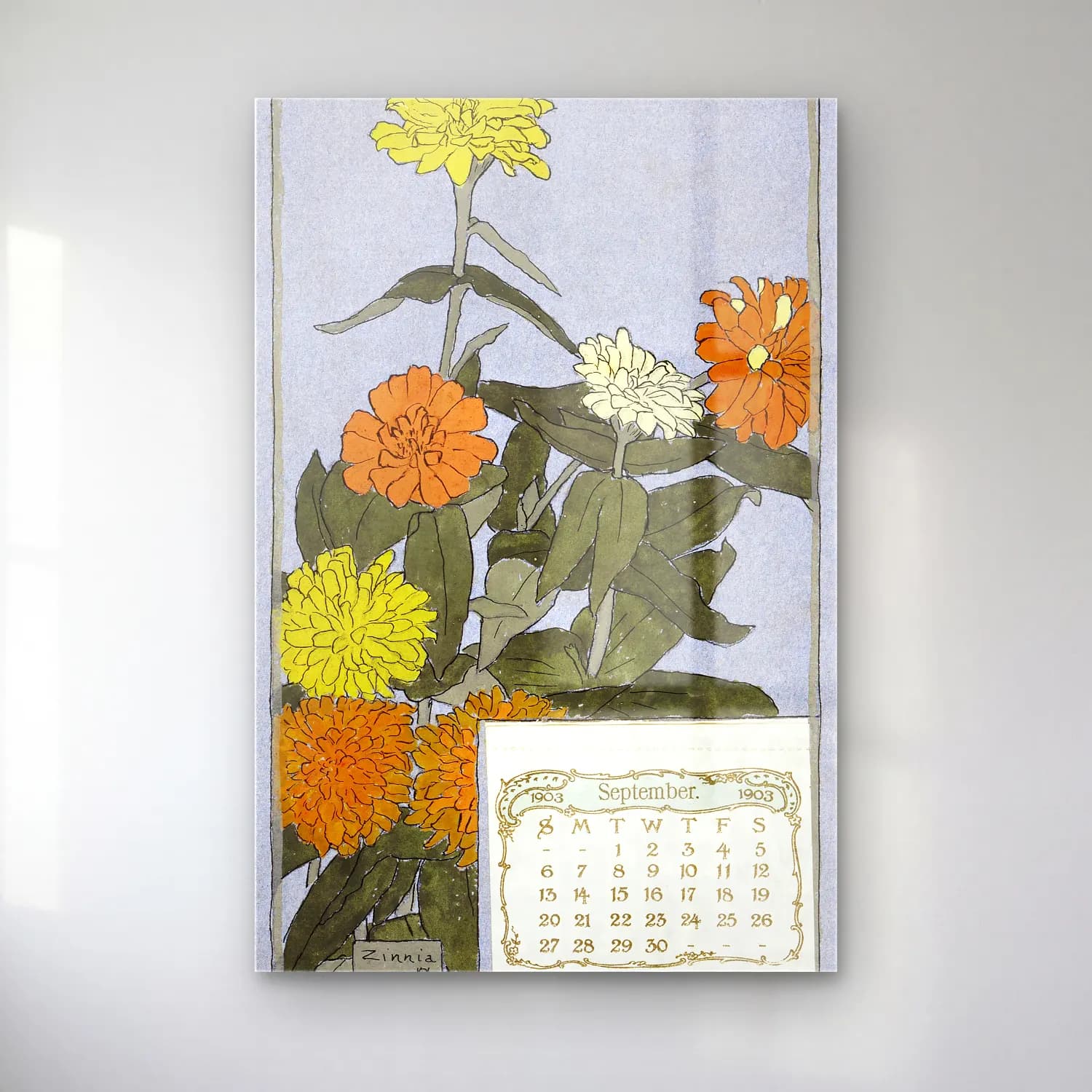 Hannah Borger Overbeck – Zinnia cam tablo — Hannah Borger Overbeck – Zinnia — botanik i̇llüstrasyon çiçek bahçesi