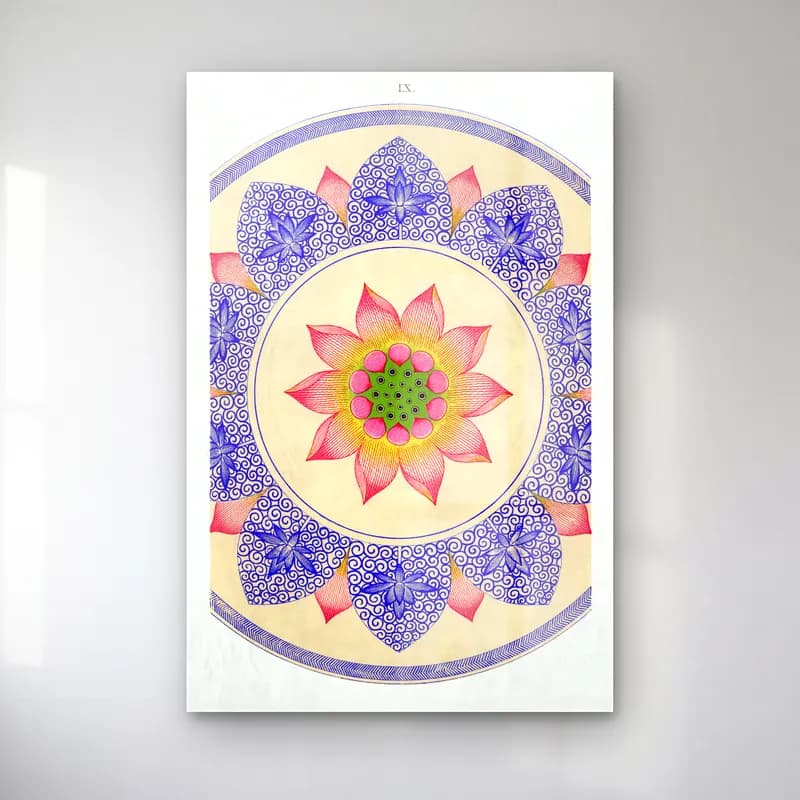 Botanik İllüstrasyon Lotus Çiçekleri No. 16 cam tablo — Botanik İllüstrasyon Lotus Çiçekleri No. 16 — botanik i̇llüstrasyon lotus çiçekleri
