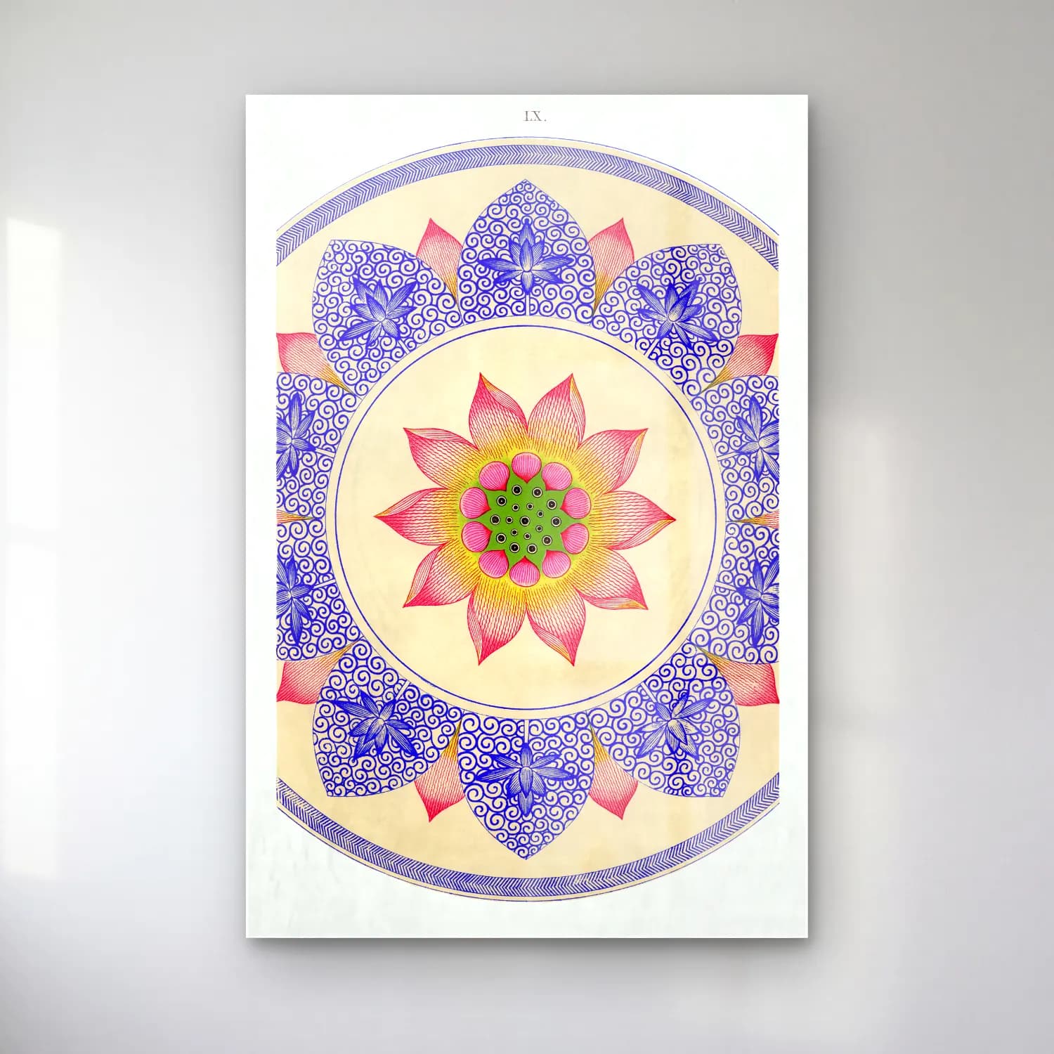 Botanik İllüstrasyon Lotus Çiçekleri No. 16 cam tablo — Botanik İllüstrasyon Lotus Çiçekleri No. 16 — botanik i̇llüstrasyon lotus çiçekleri