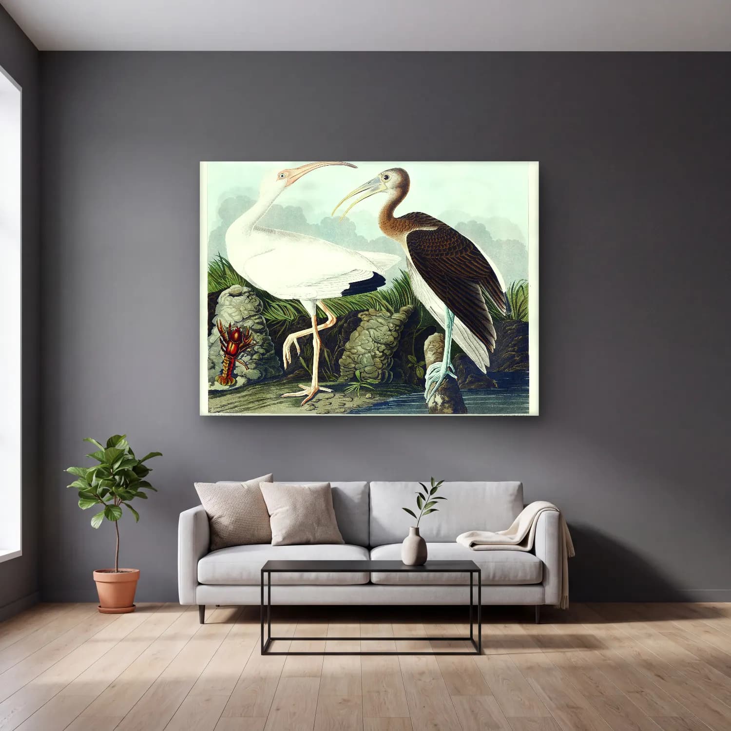 John James Audubon – White Ibis from Birds of America cam tablo — gri duvarlı salonda