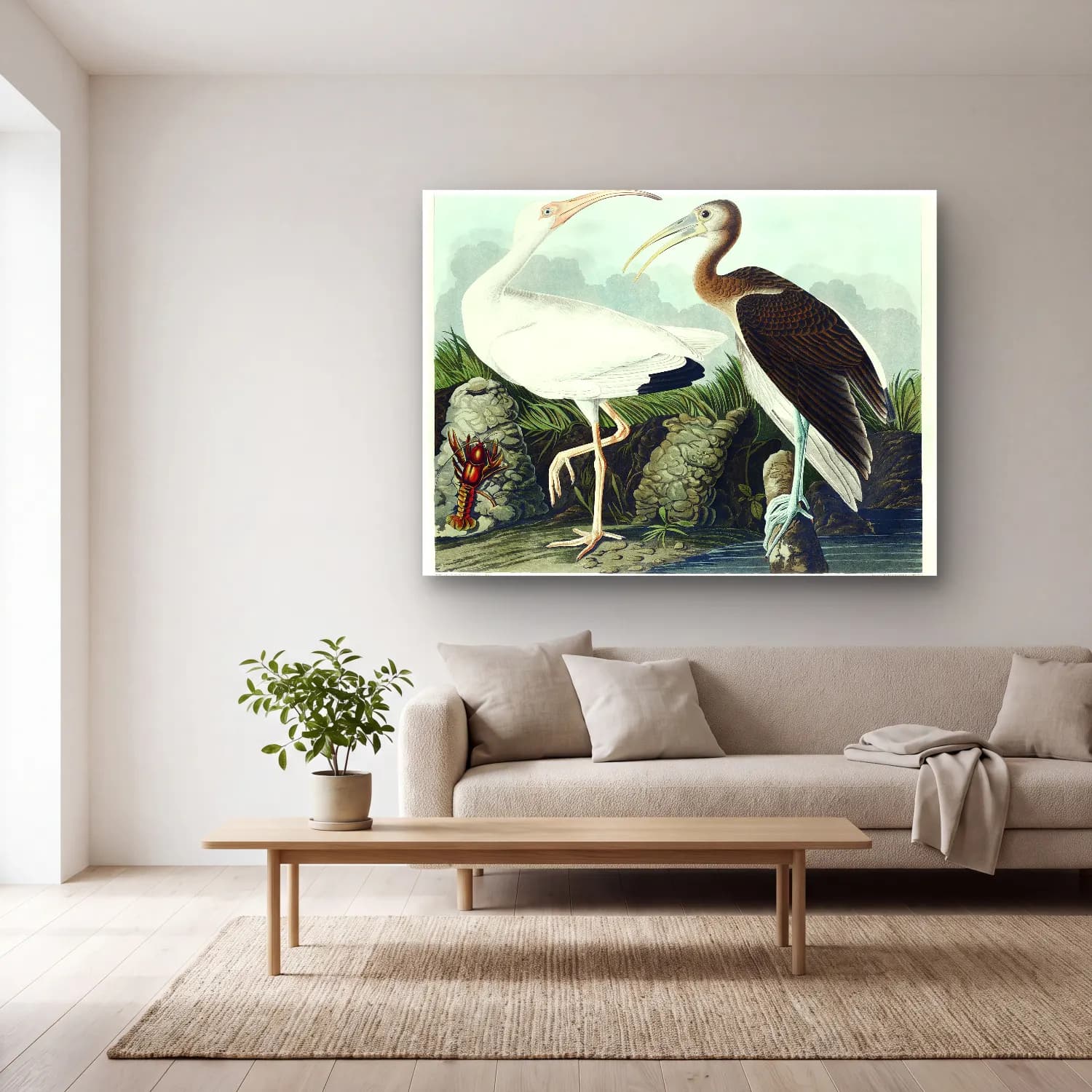 John James Audubon – White Ibis from Birds of America cam tablo — açık renk salonda
