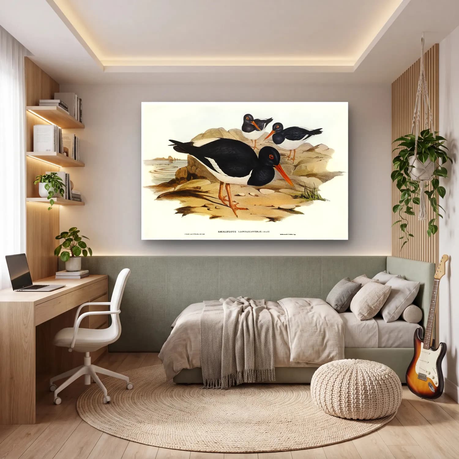 Elizabeth Gould – White-breasted Oyster-Catcher (Haematopus longirostris)… cam tablo — genç odasında