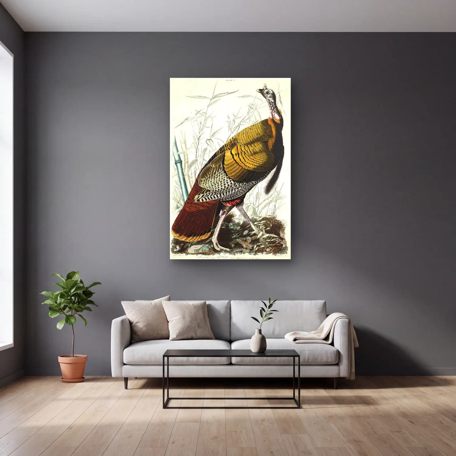 John James Audubon – Wild Turkey or Great American Cock from Birds of America cam tablo — gri duvarlı salonda