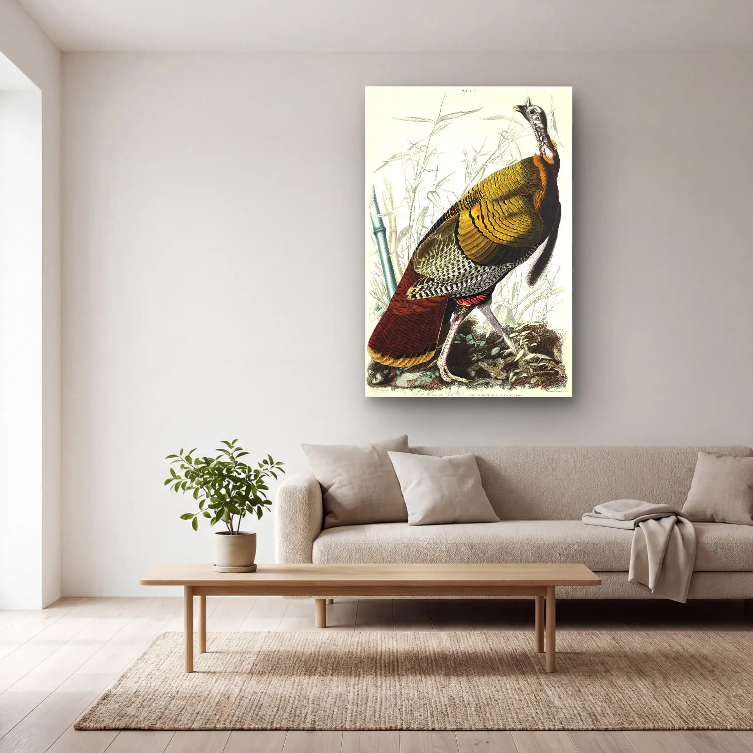 John James Audubon – Wild Turkey or Great American Cock from Birds of America cam tablo — açık renk salonda