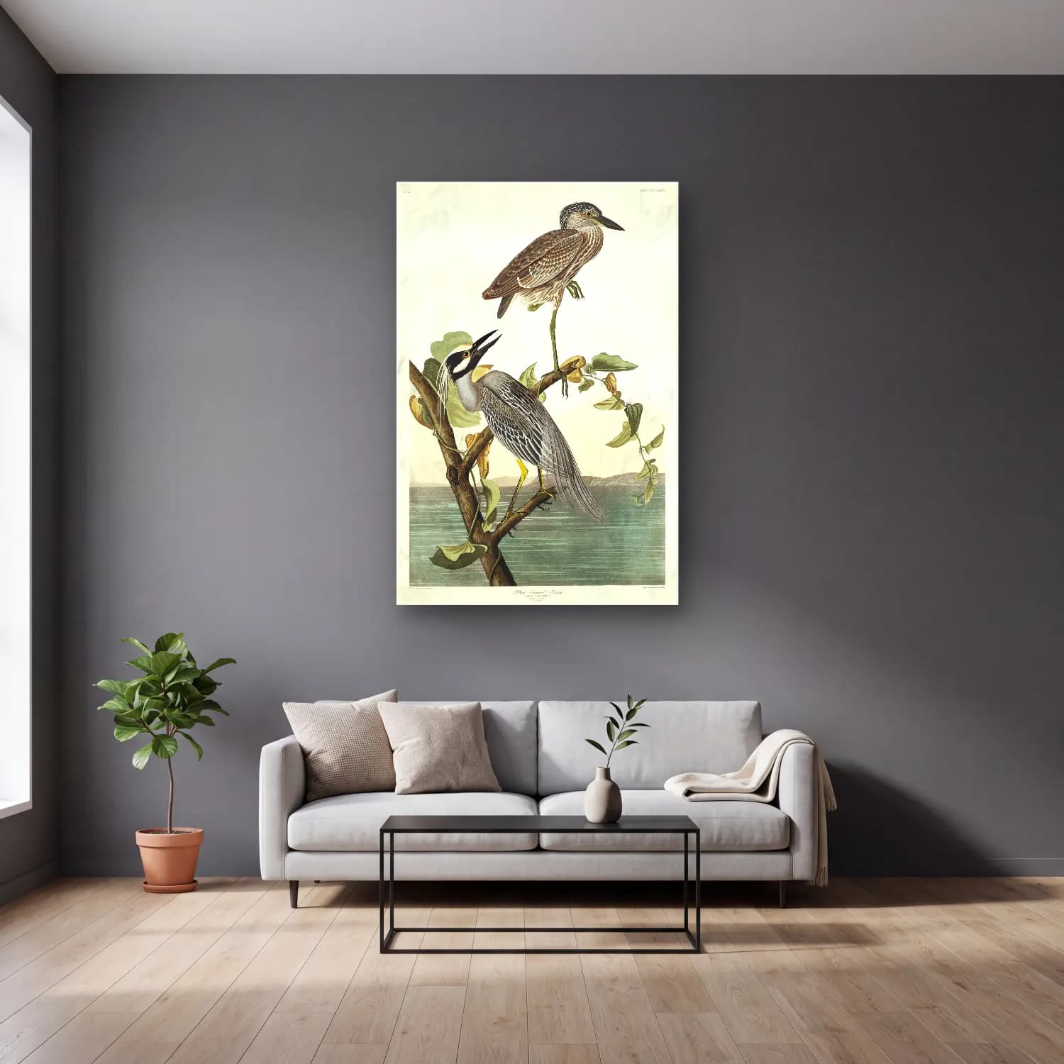 John James Audubon – Yellow-Crowned Heron from Birds of America cam tablo — gri duvarlı salonda