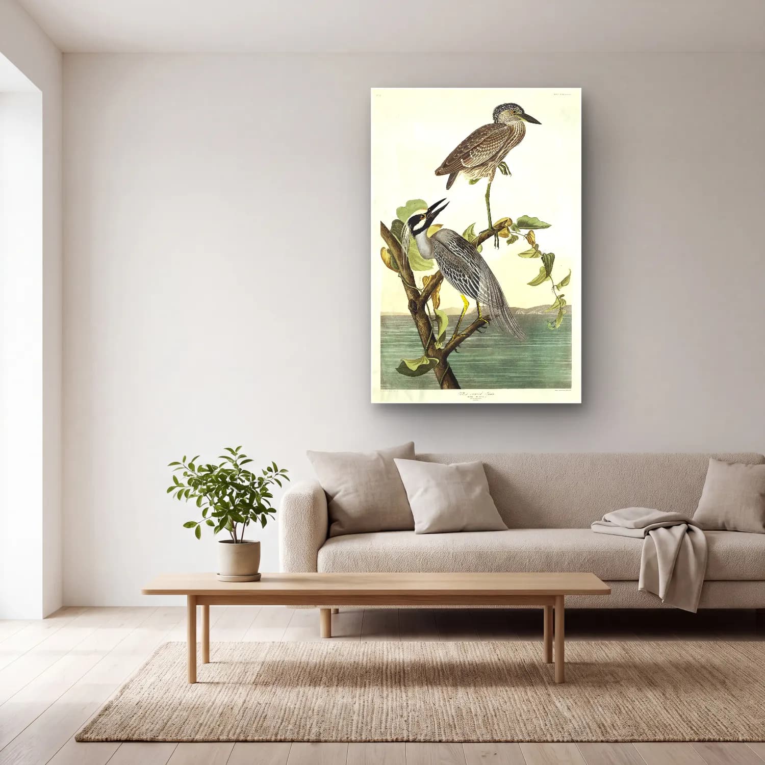John James Audubon – Yellow-Crowned Heron from Birds of America cam tablo — açık renk salonda