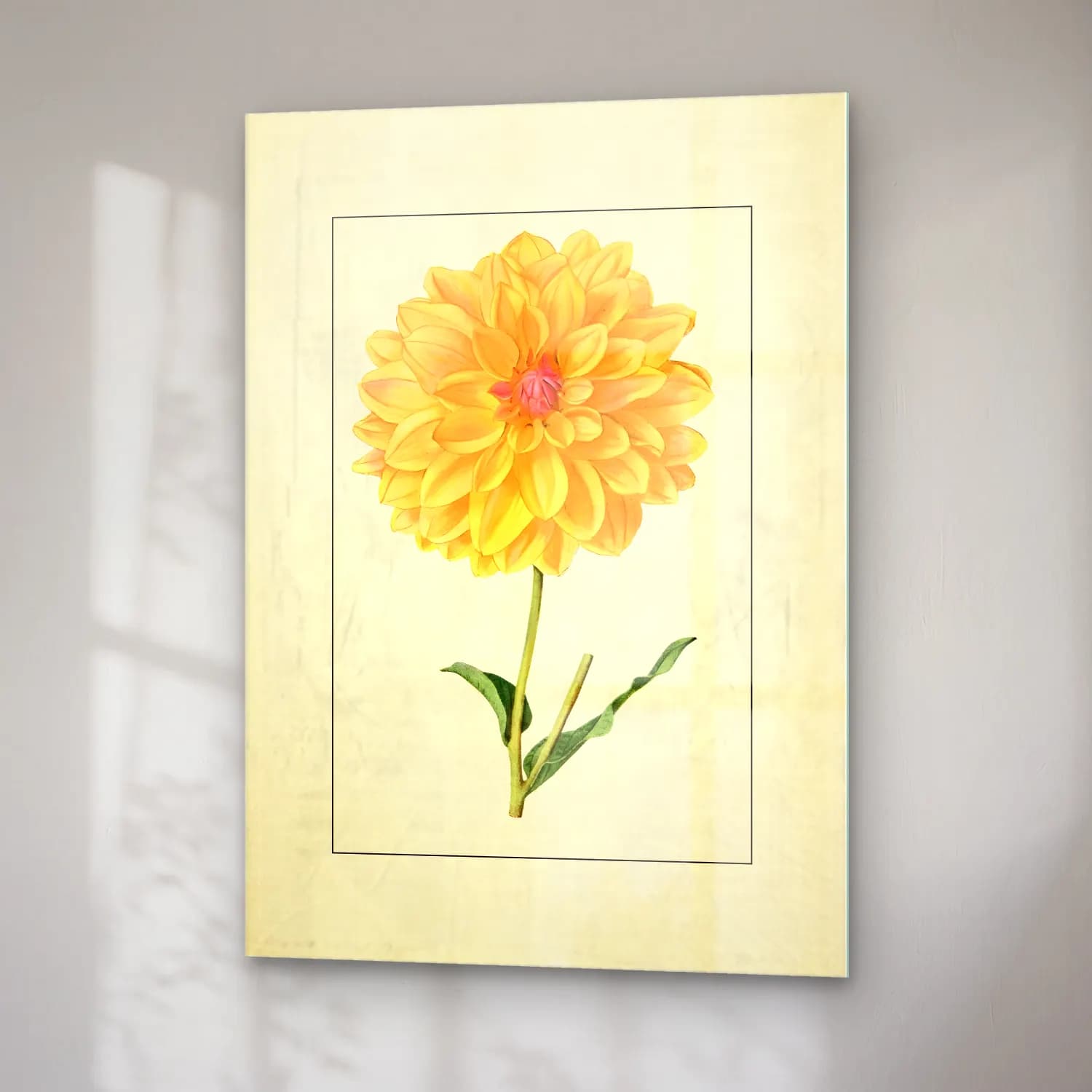 Botanik İllüstrasyon Çiçek Deseni No. 186 cam tablo — sağ açıdan görünüm