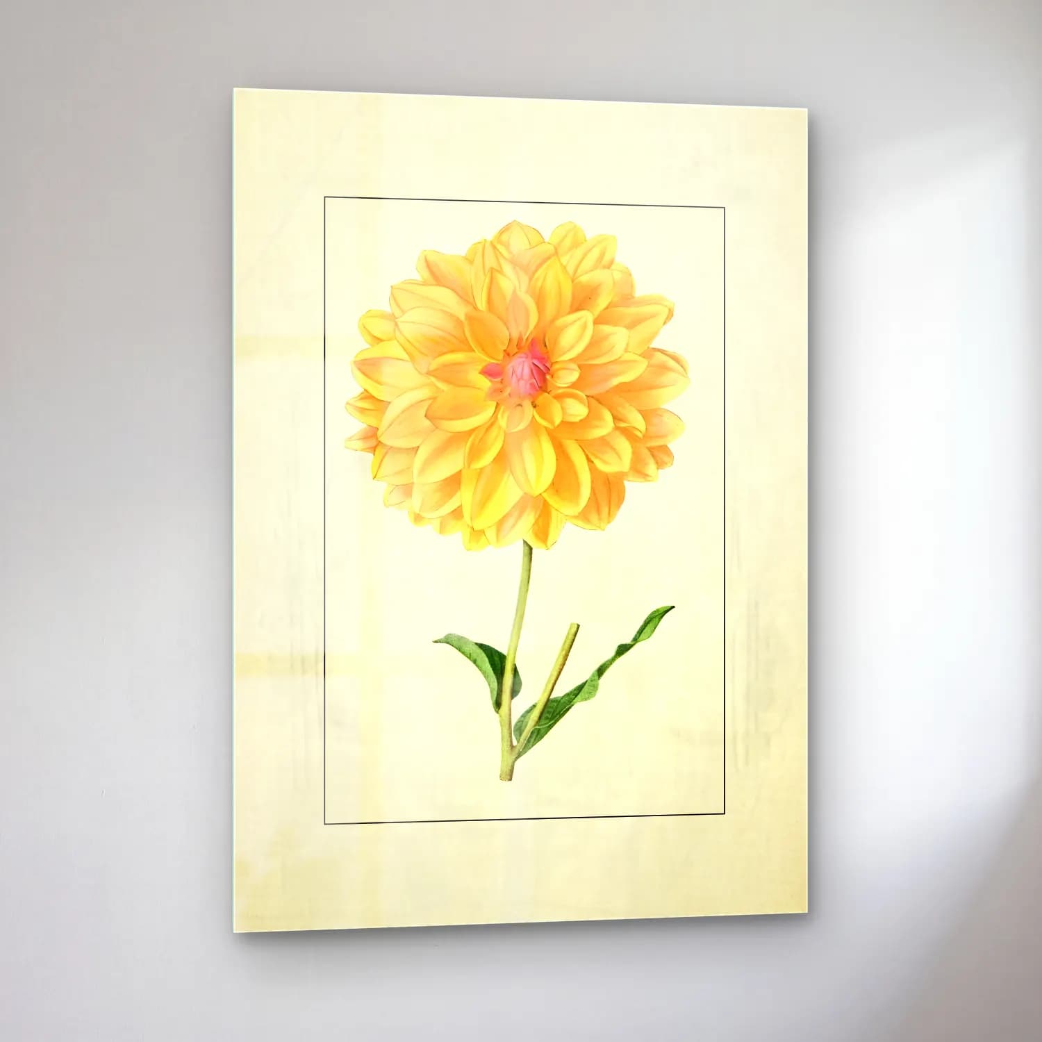 Botanik İllüstrasyon Çiçek Deseni No. 186 cam tablo — sol açıdan görünüm