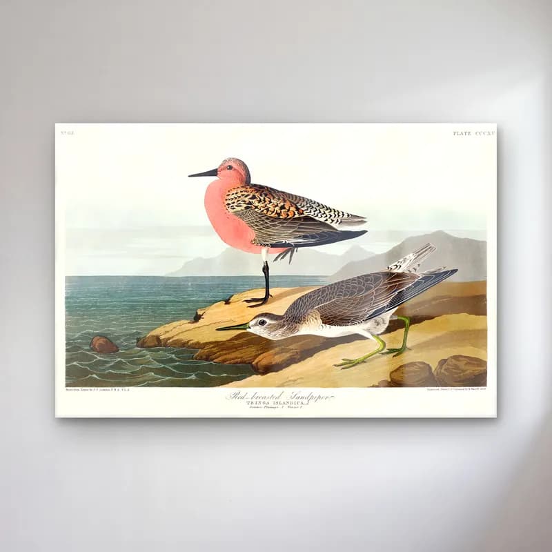Vintage Balıkçıl No. 17 cam tablo — Vintage Balıkçıl No. 17 — vintage balıkçıl