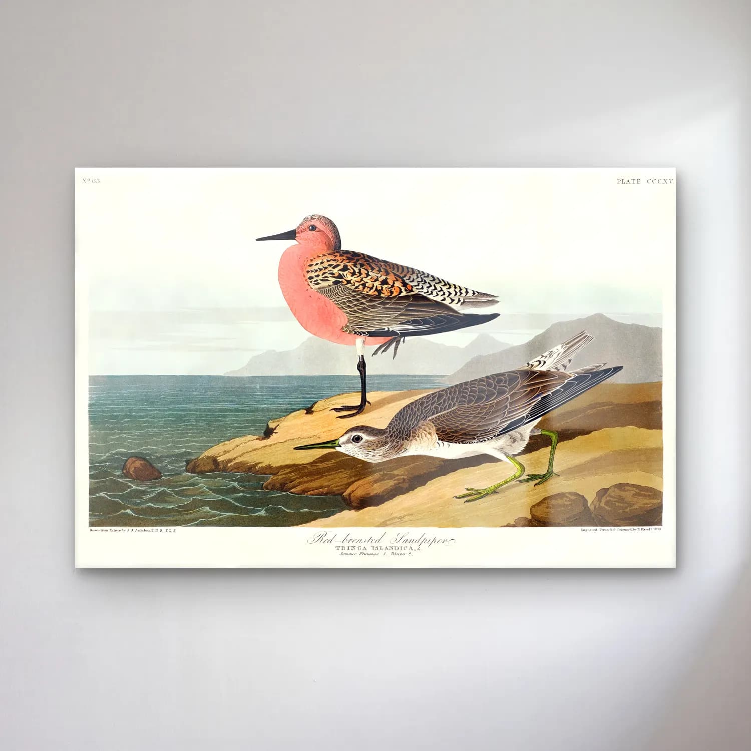 Vintage Balıkçıl No. 17 cam tablo — Vintage Balıkçıl No. 17 — vintage balıkçıl
