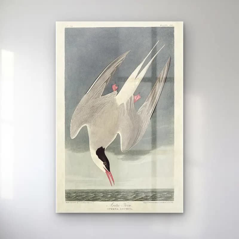 Vintage Kuğu No. 7 cam tablo — Vintage Kuğu No. 7 — vintage kuğu