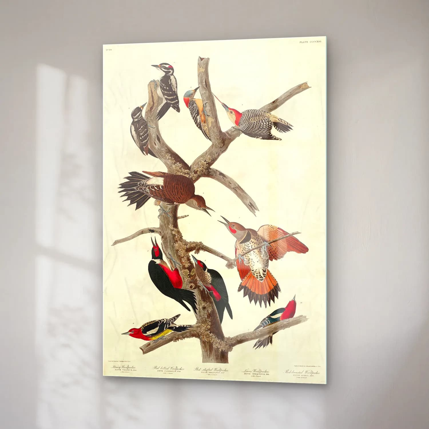 Vintage Daldaki Kuş No. 14 cam tablo — sağ açıdan görünüm